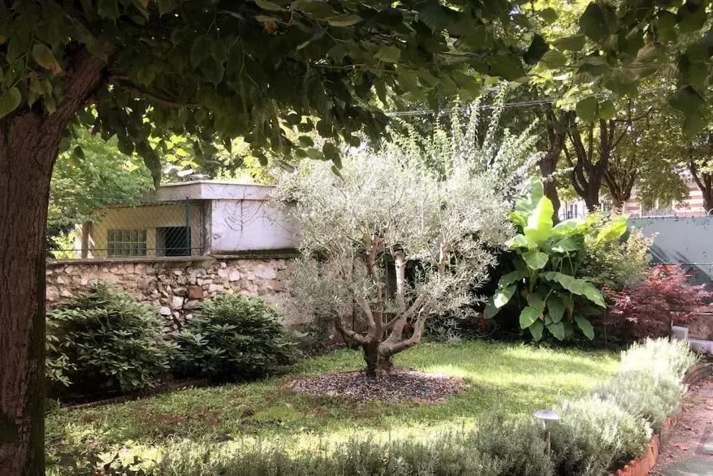 Garden, Property Building in Villa Eugénie Melun