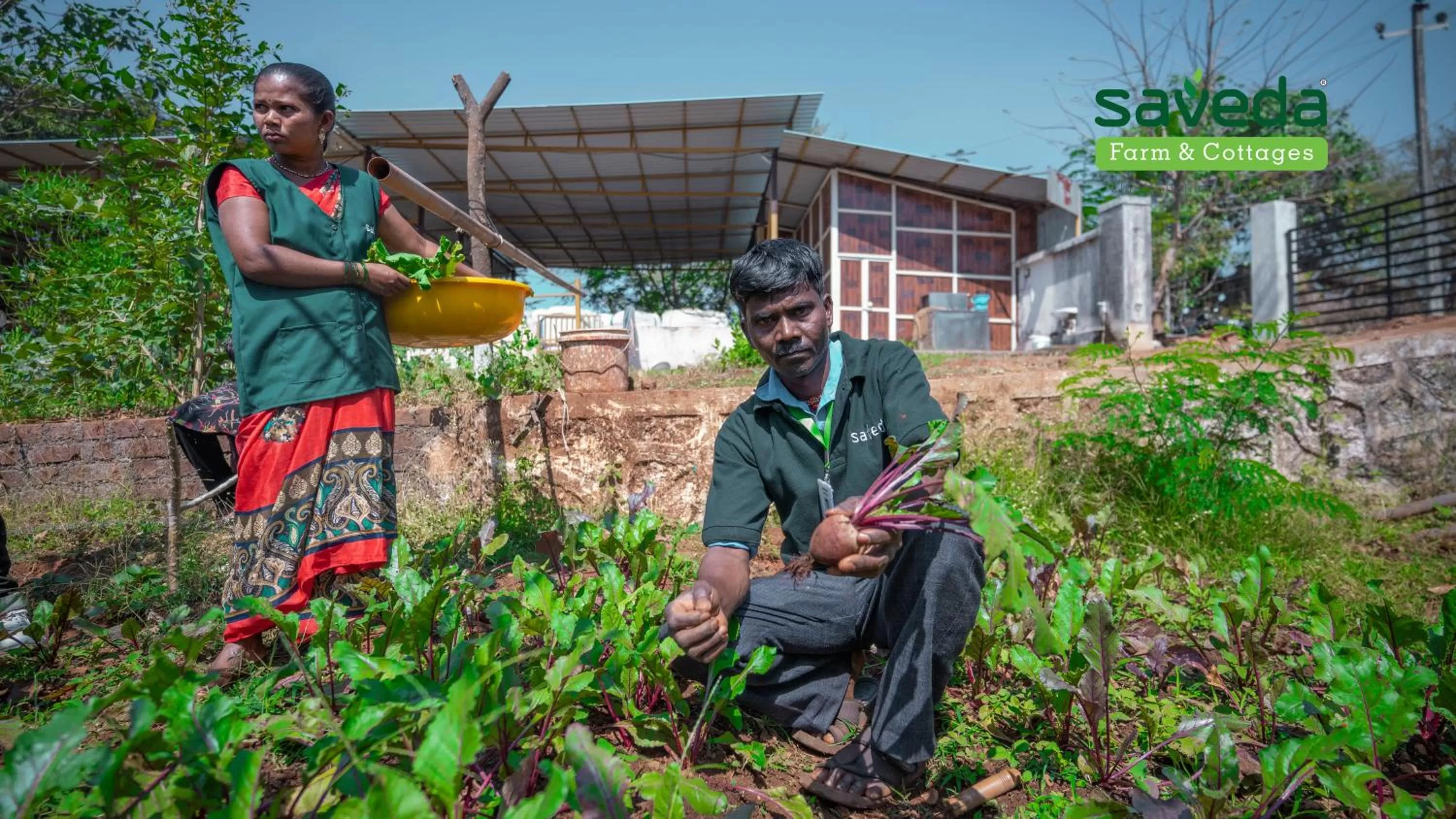 Activities in Saveda Farm & Cottages