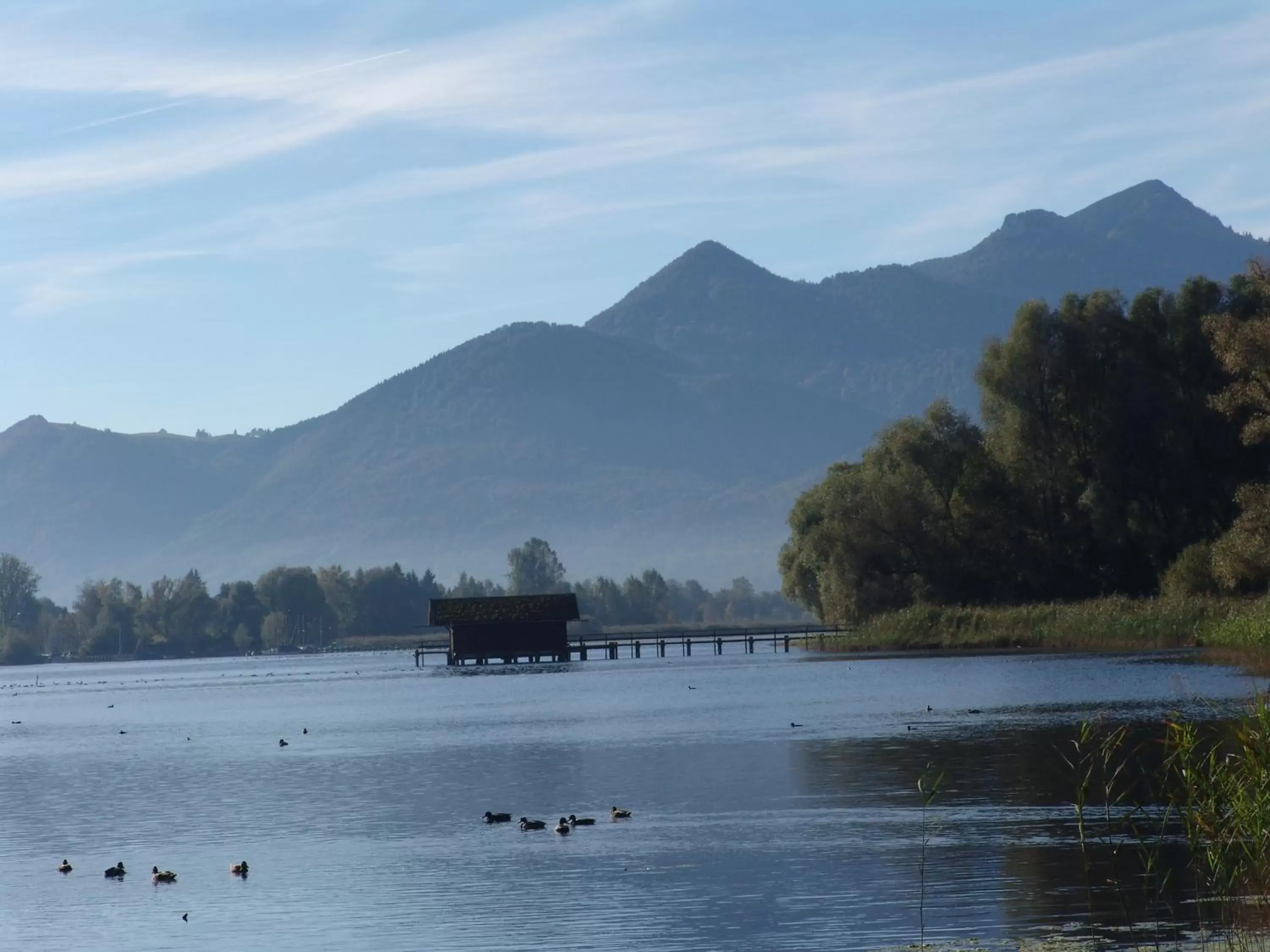 Natural landscape in Zum Fischer am See ***S