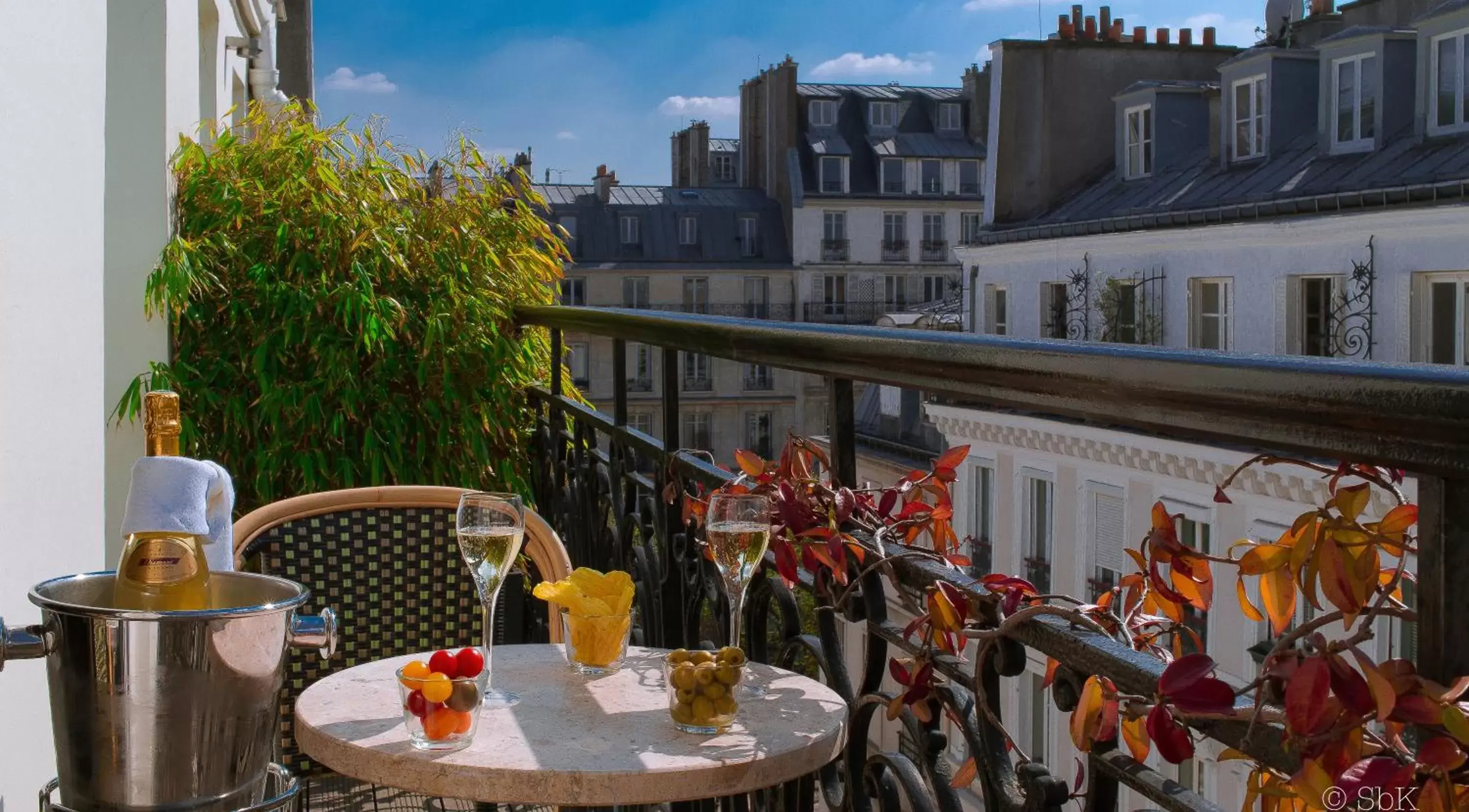 Balcony/Terrace in B Montmartre