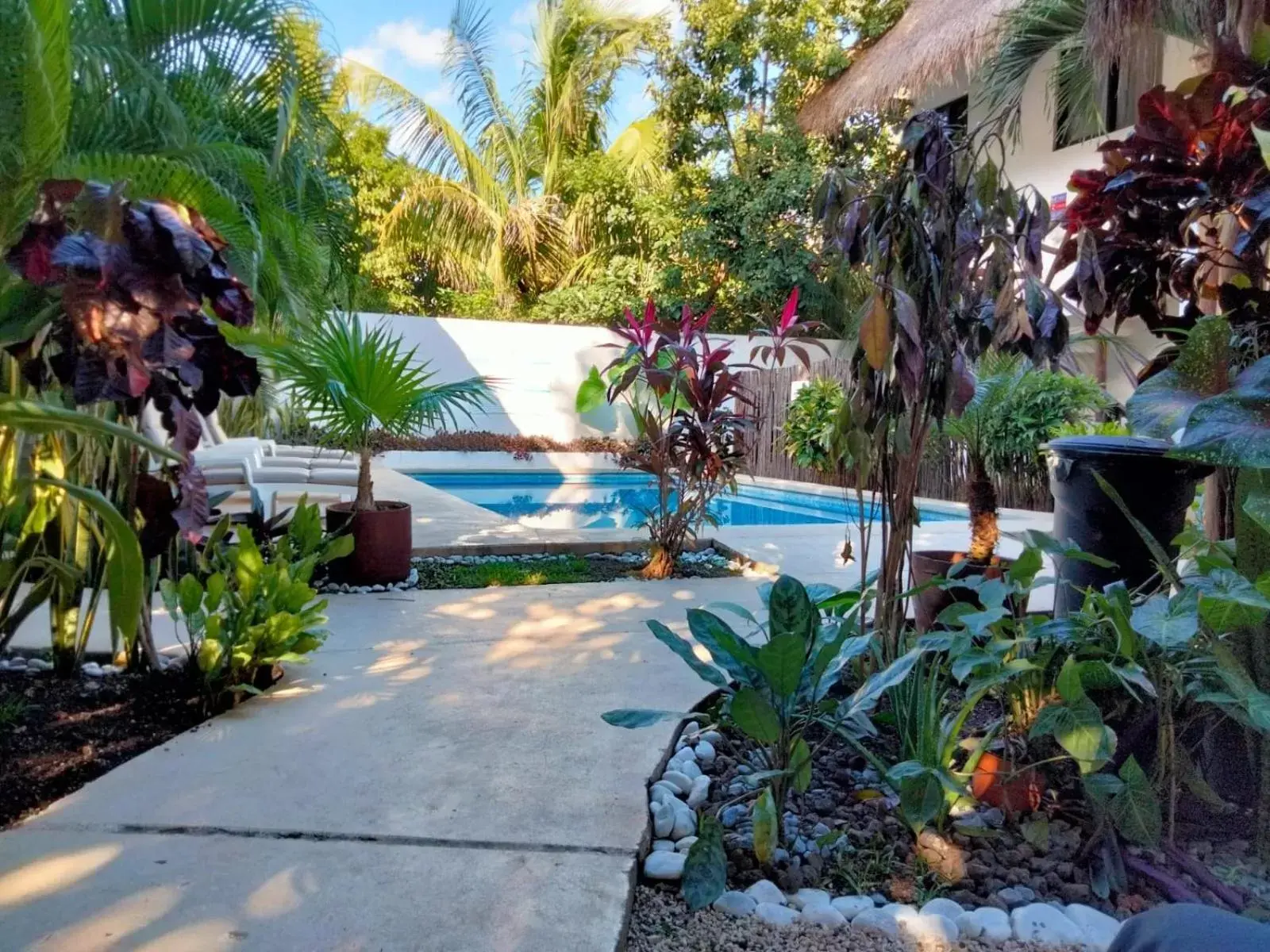 Garden, Swimming Pool in Azul 36 Hotel