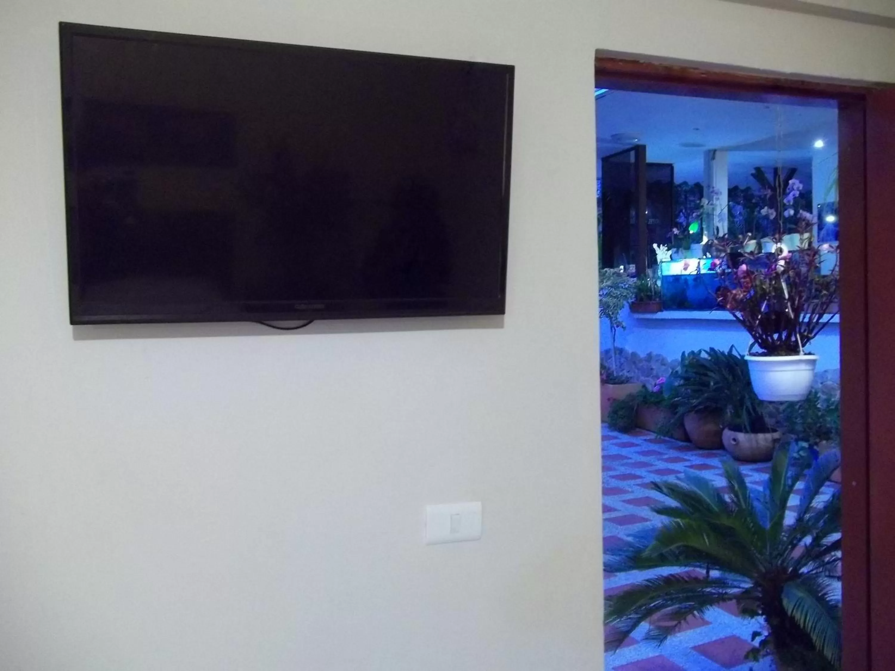 TV/Entertainment Center in Cabañas Las Bifloras