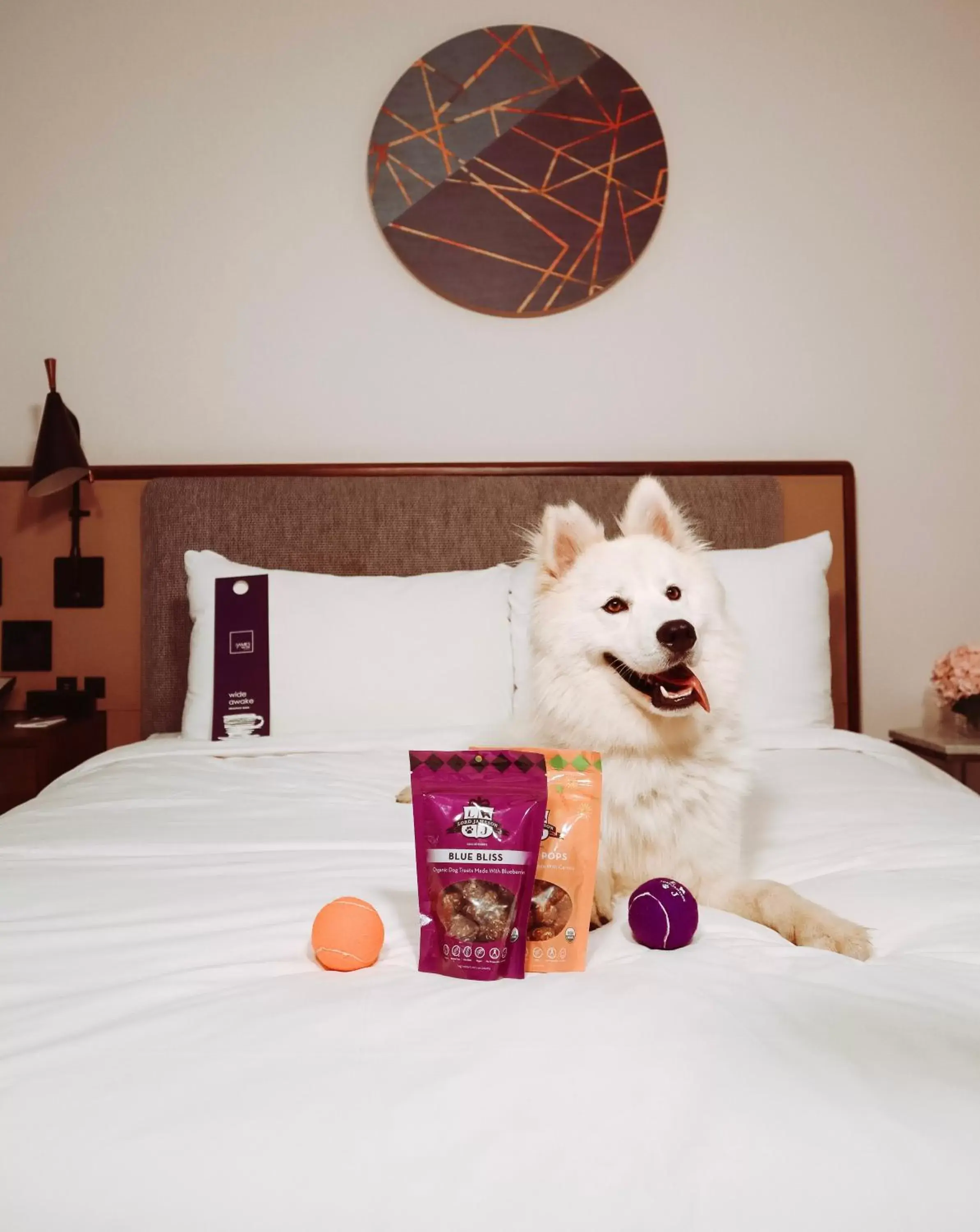 Pets, Bed in The James New York - NoMad