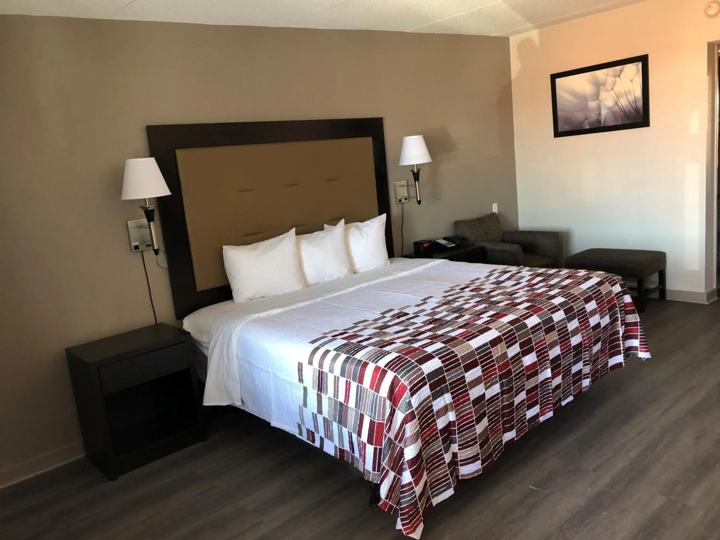 Photo of the whole room, Bed in Red Roof Inn Greenville, NC