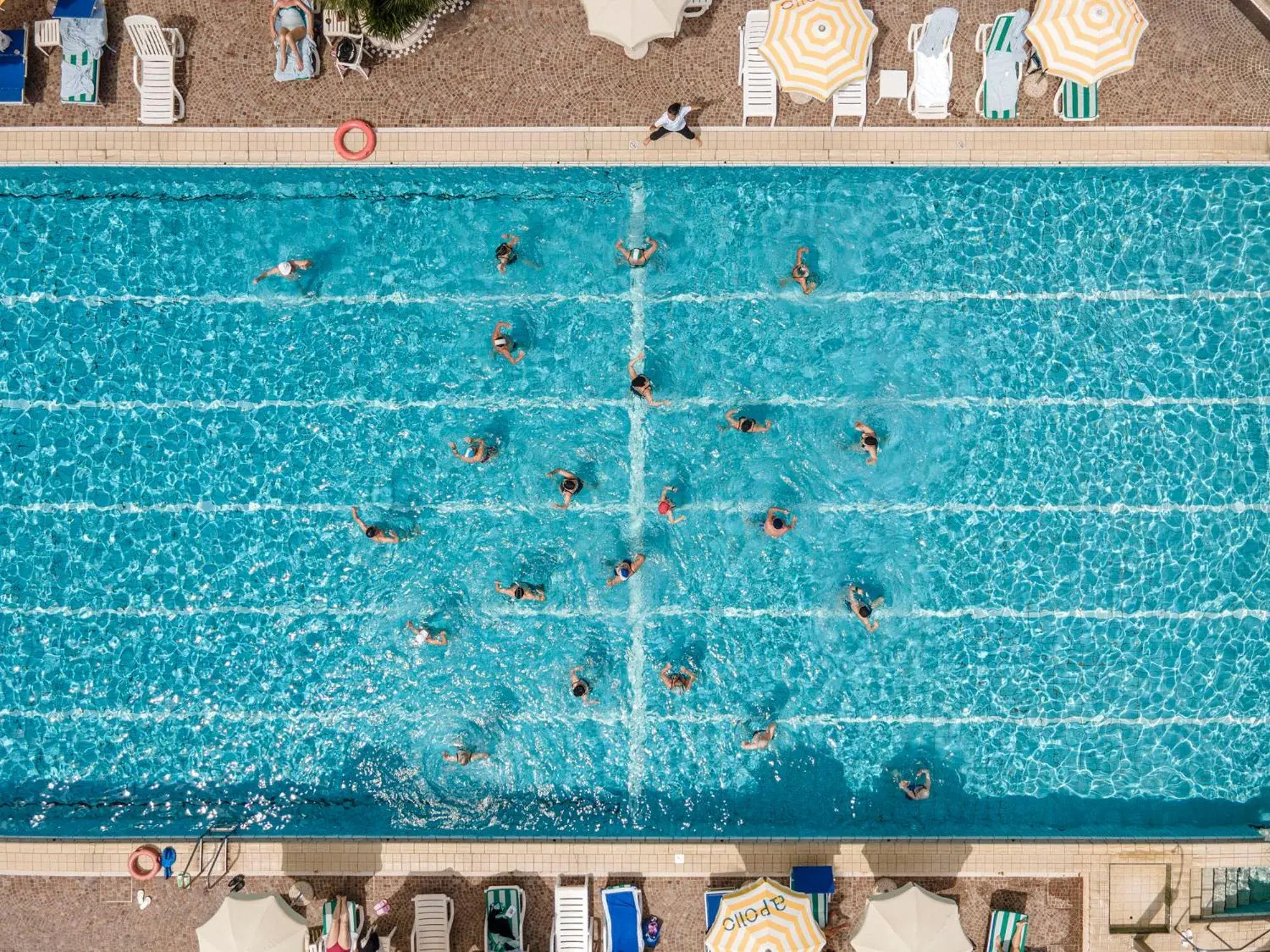 Pool view, Swimming Pool in Apollo Terme Hotel