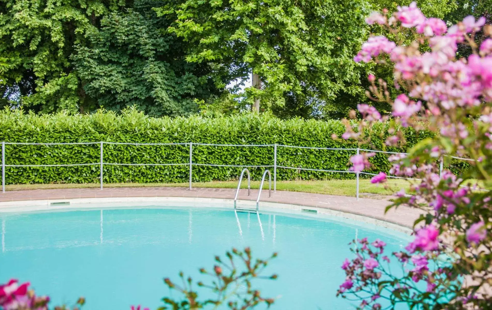 Pool view, Swimming Pool in Le Macerine