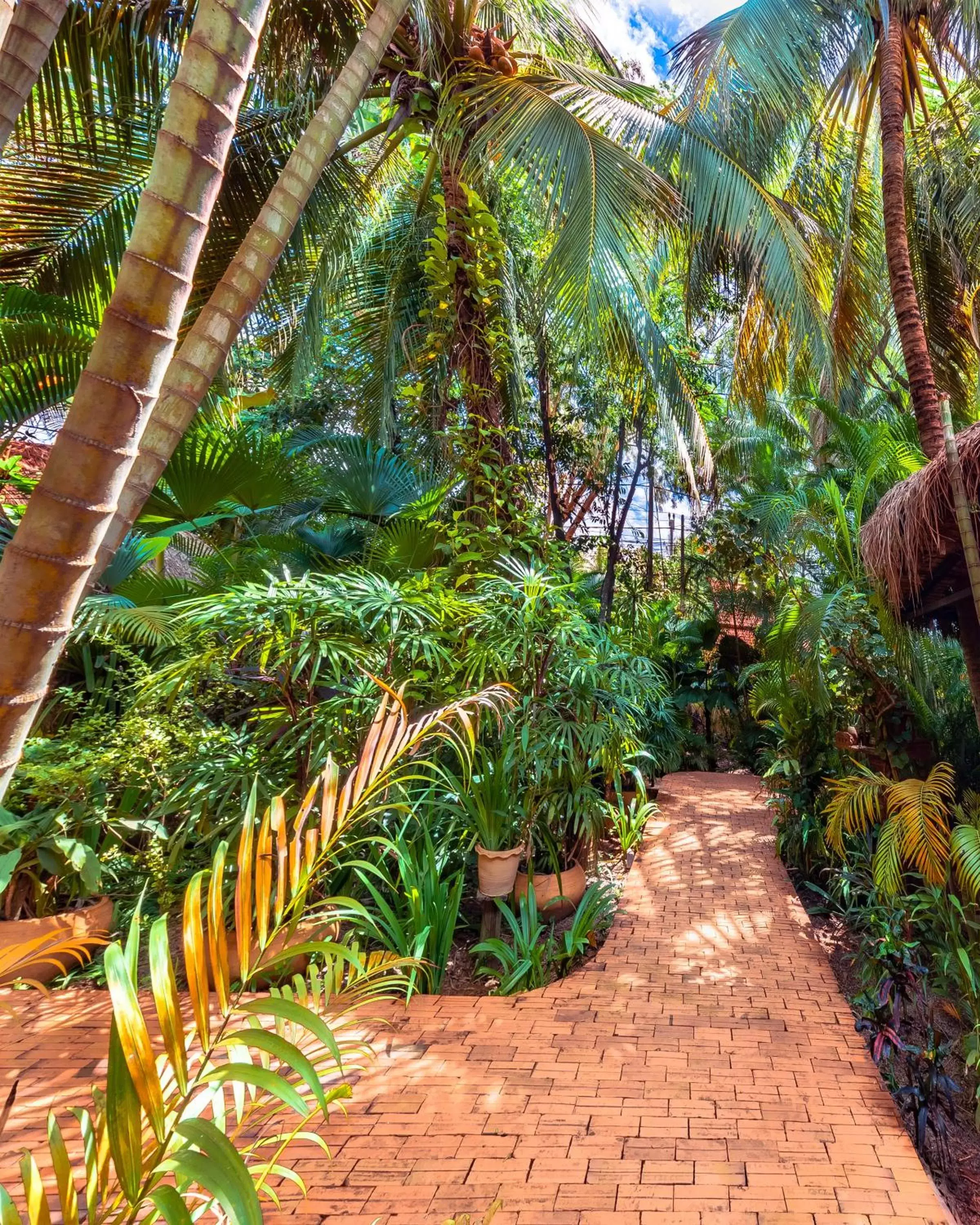 Garden view, Garden in Pavillon Indochine Boutique - Hotel