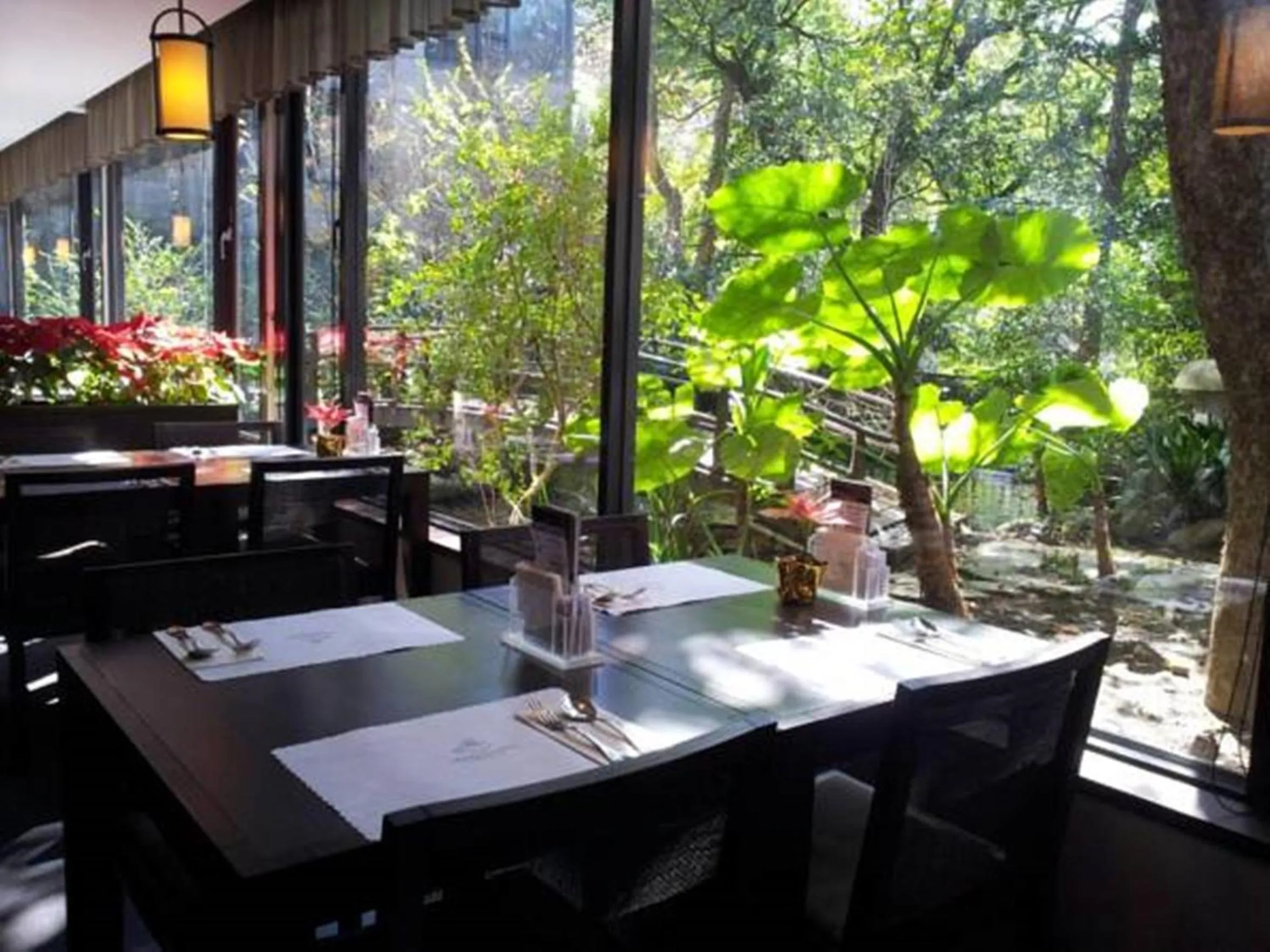 Restaurant/places to eat in Great Roots Forestry Spa Resort