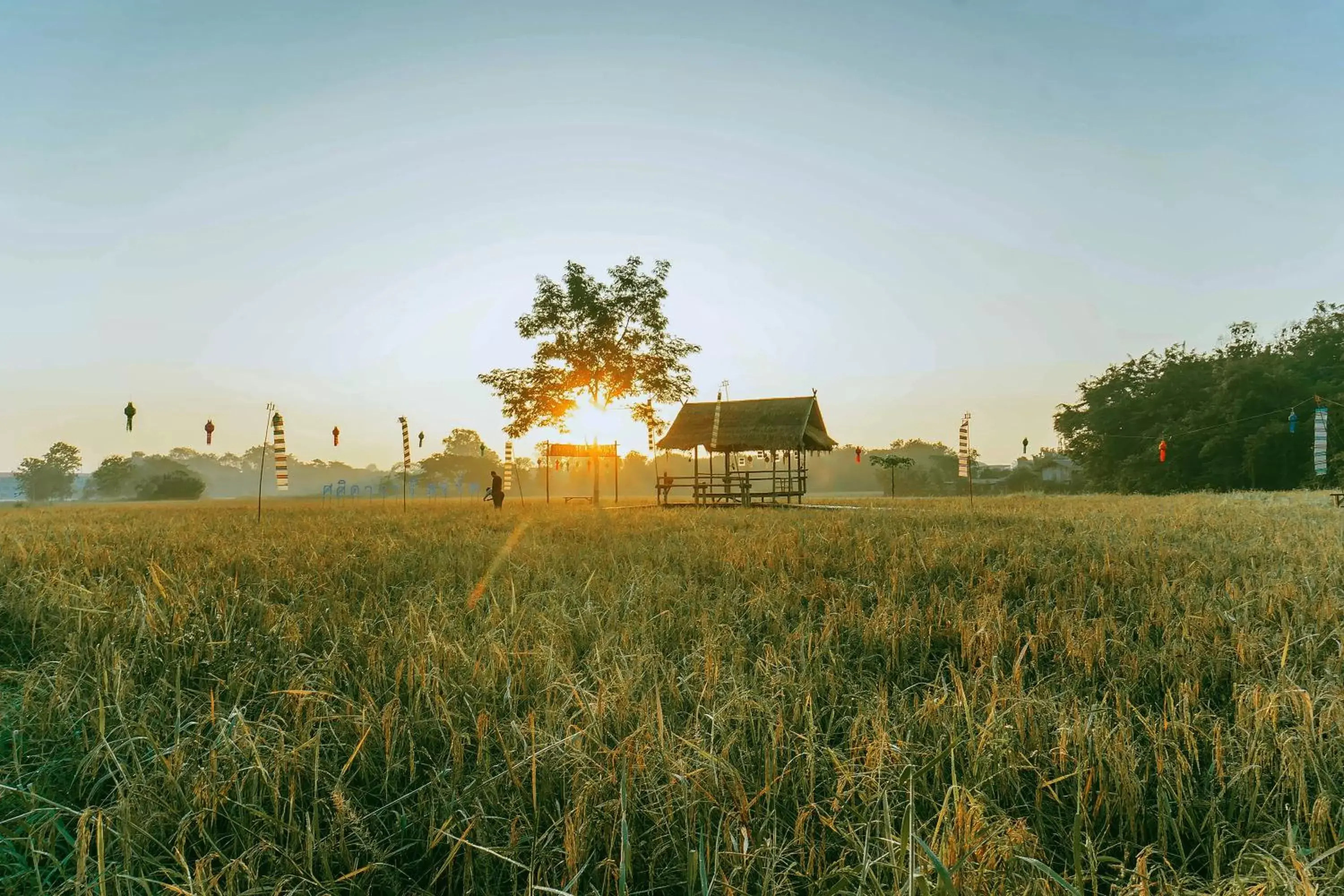 Natural landscape, Property Building in Sasidara Resort Nan