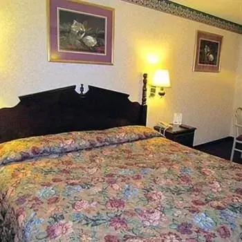 Bed in Eagle Inn Sumter