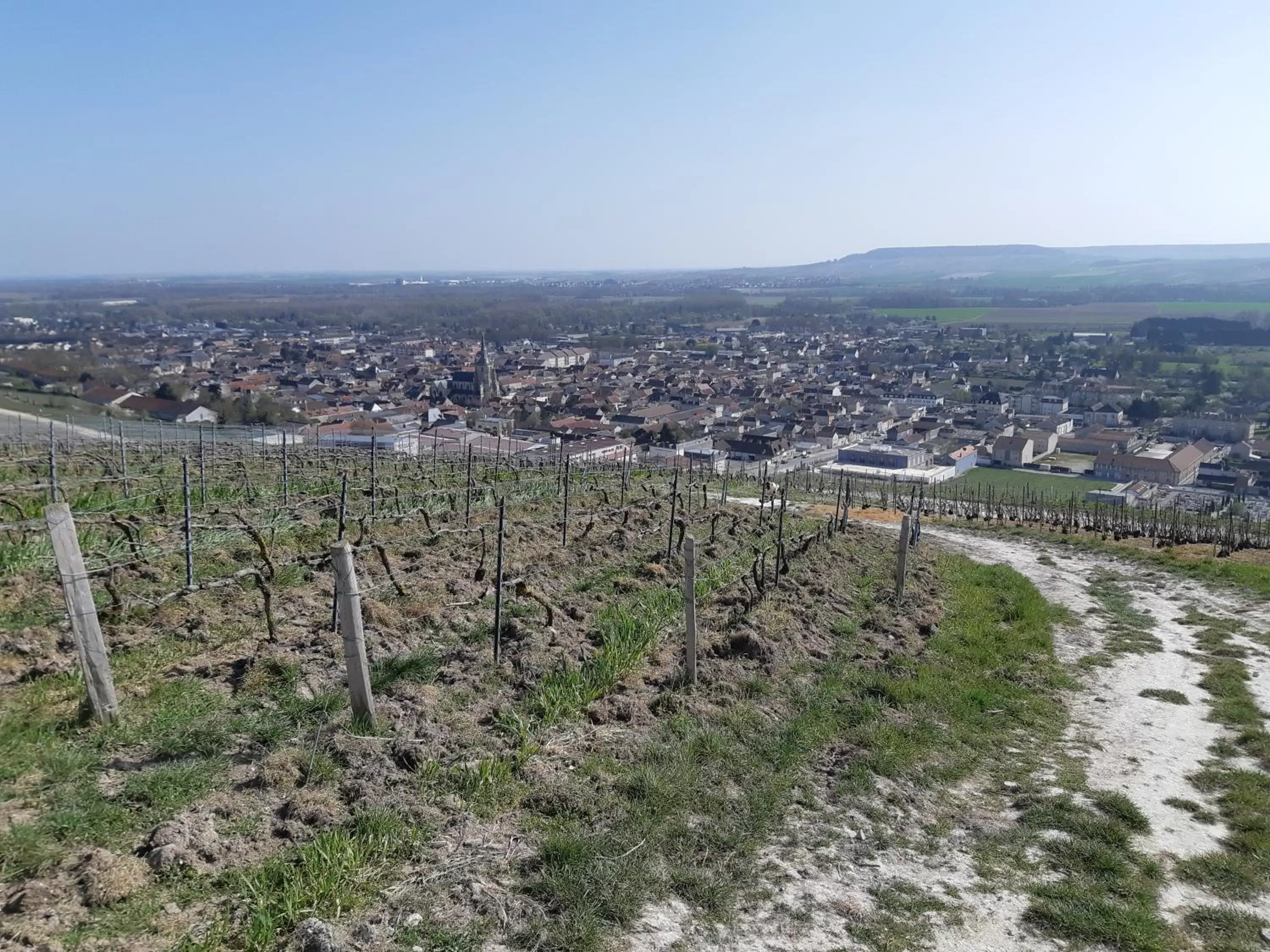 Bird's-eye View in La Cour des Marotiers