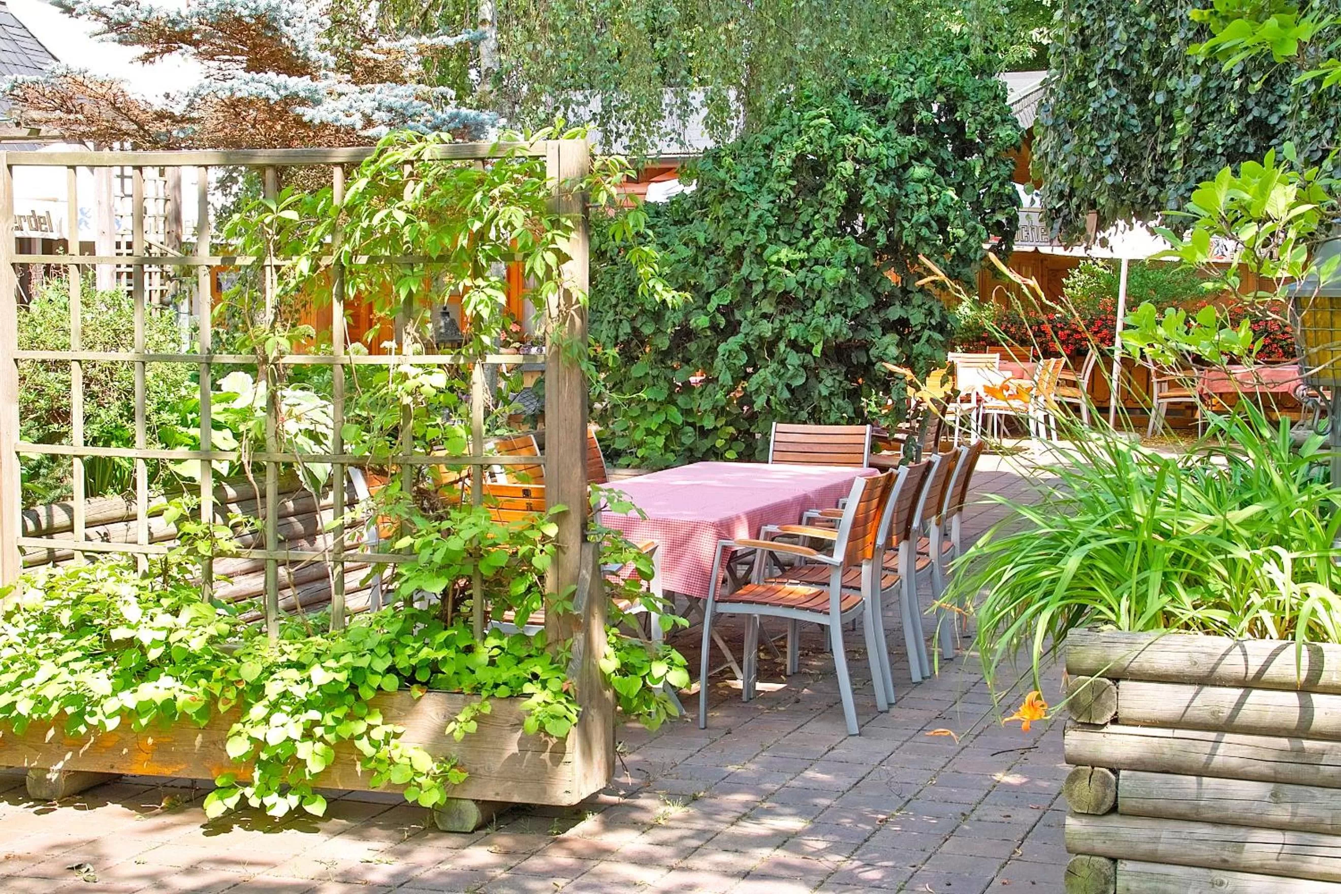 Garden in Hotel Falter