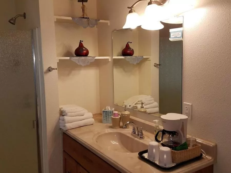 Bathroom in Yosemite Nights Bed & Breakfast
