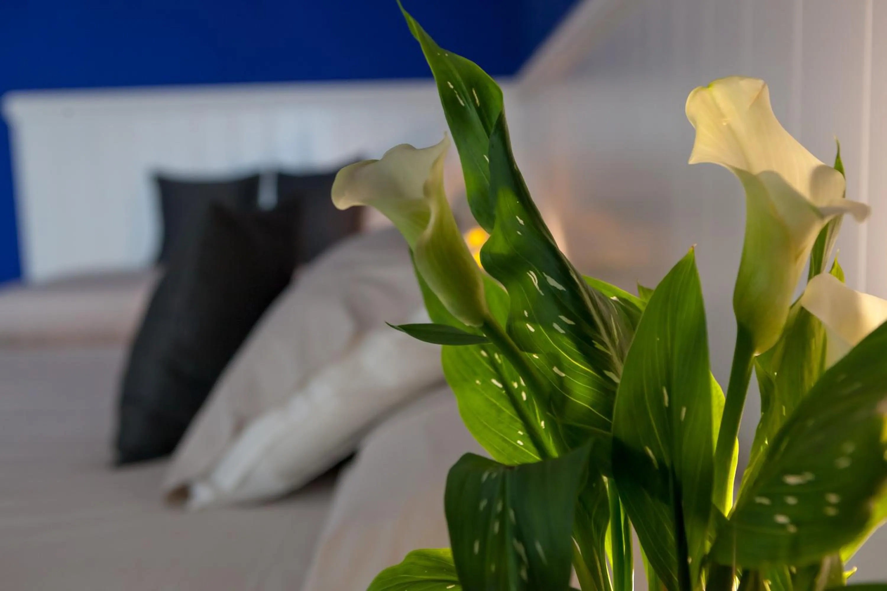 Decorative detail, Bed in Hotel Maximilian