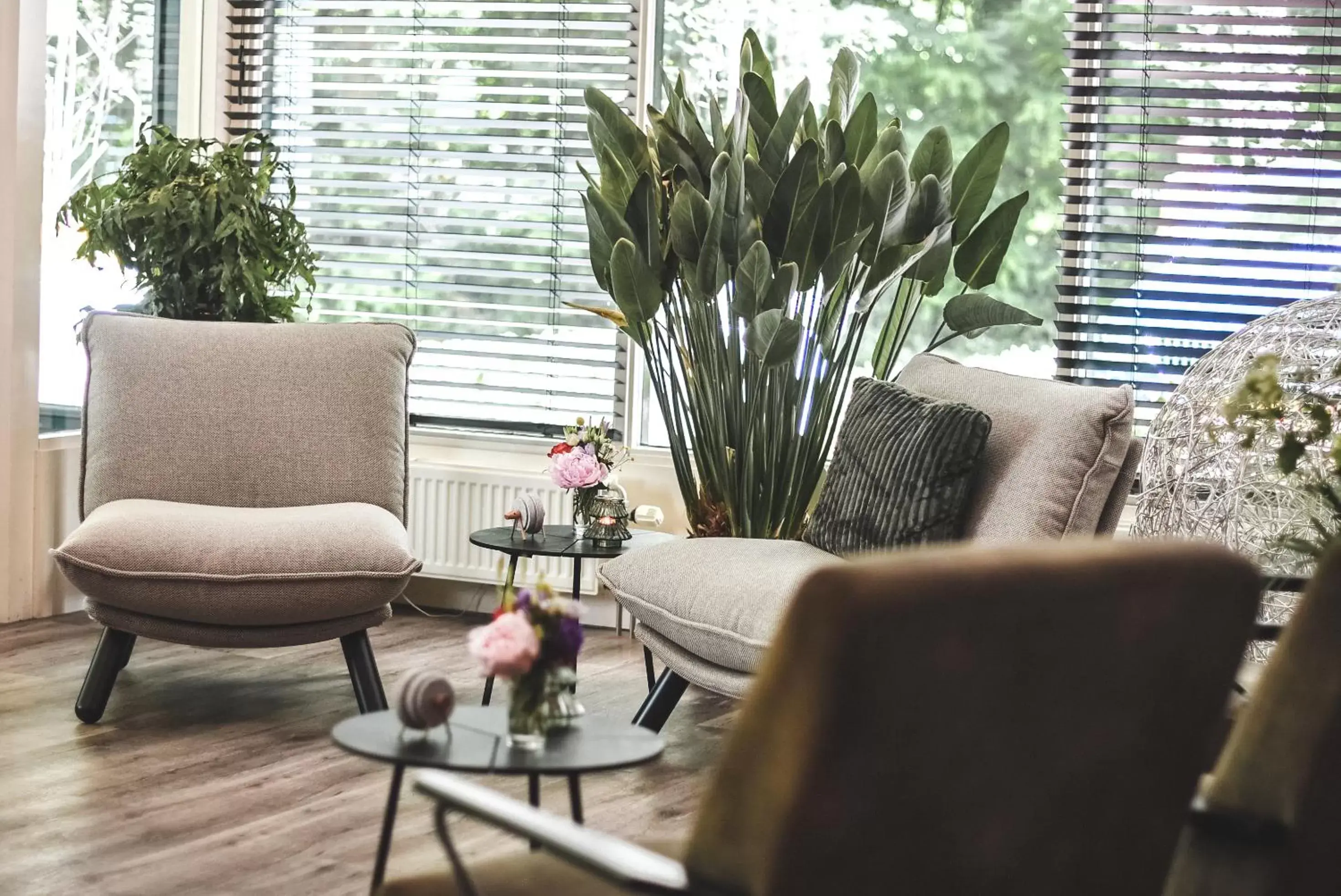 Lobby or reception, Seating Area in Witte Berken Natuurhotel