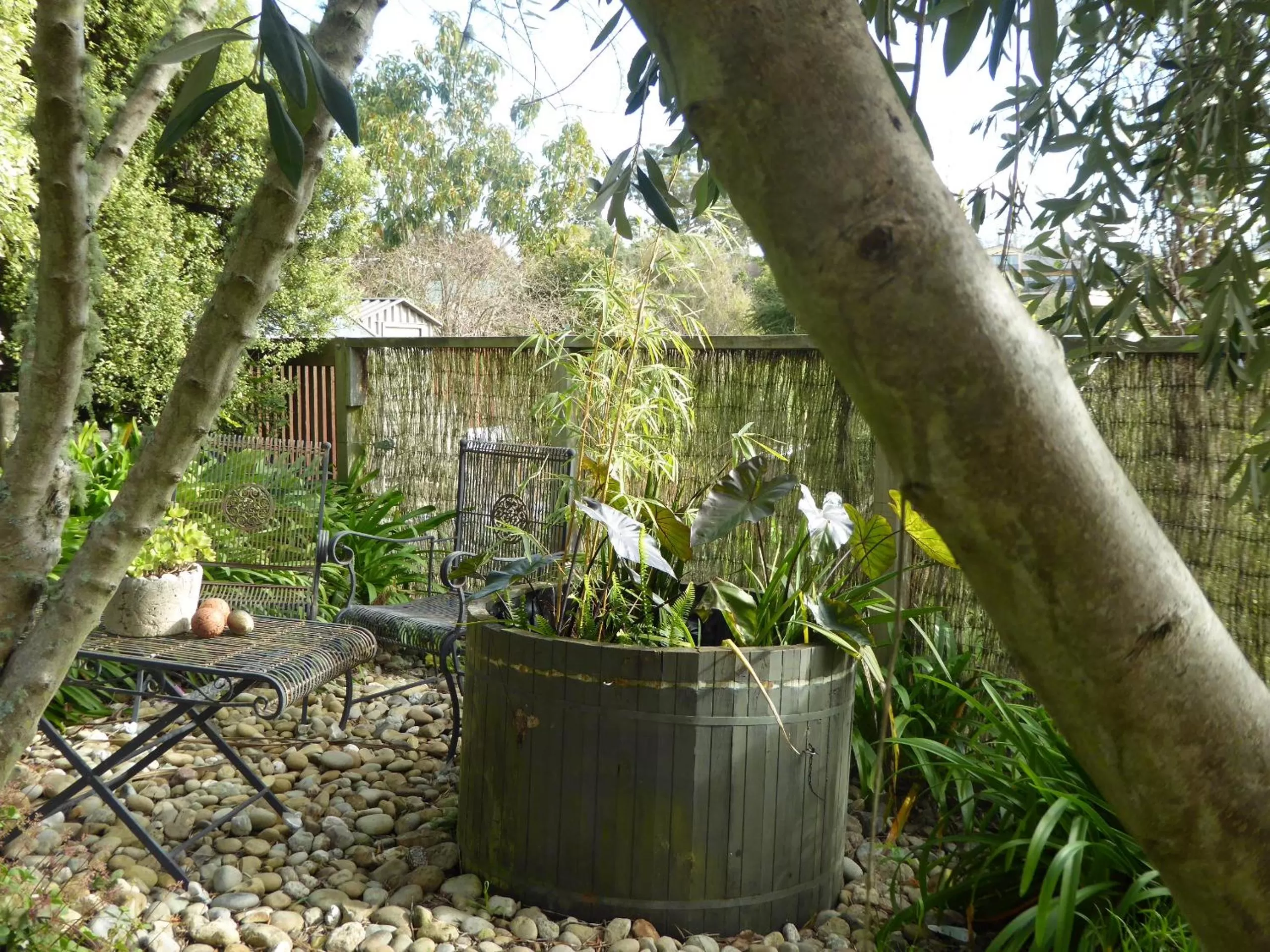 Garden in Hazelwood Mapua