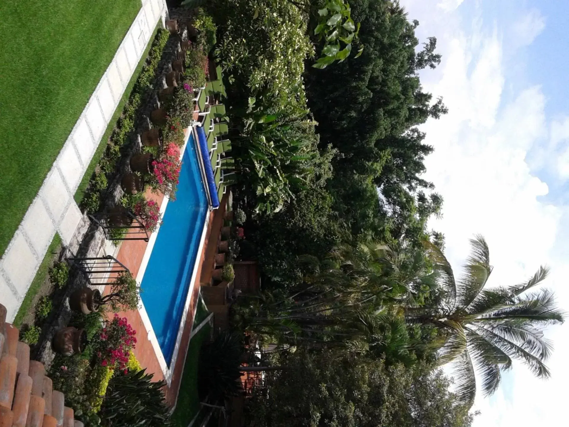 Swimming Pool in Orchidelirium Casa Hotel & Salud Estética