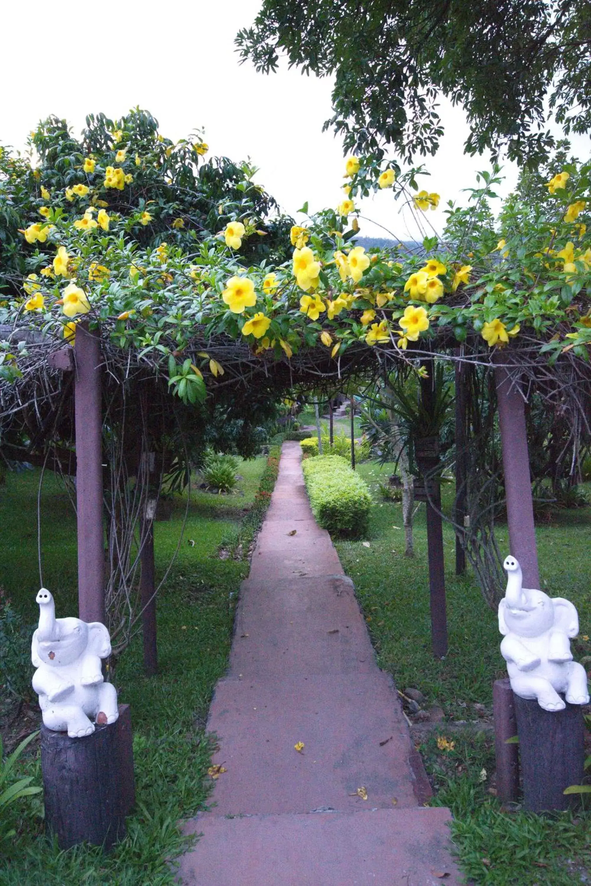 Garden in Touch Star Resort - Doi Inthanon