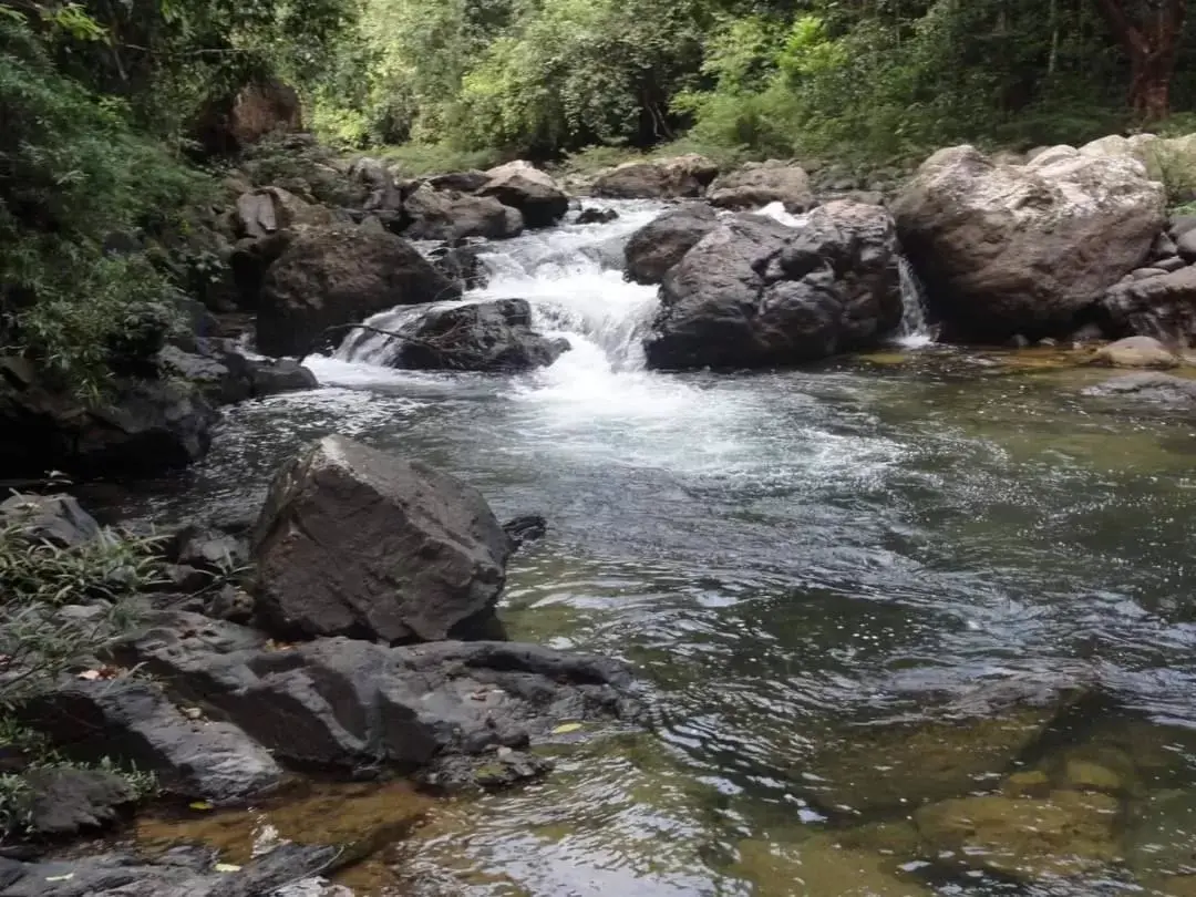 Natural Landscape in Khaosok Rainforest Resort