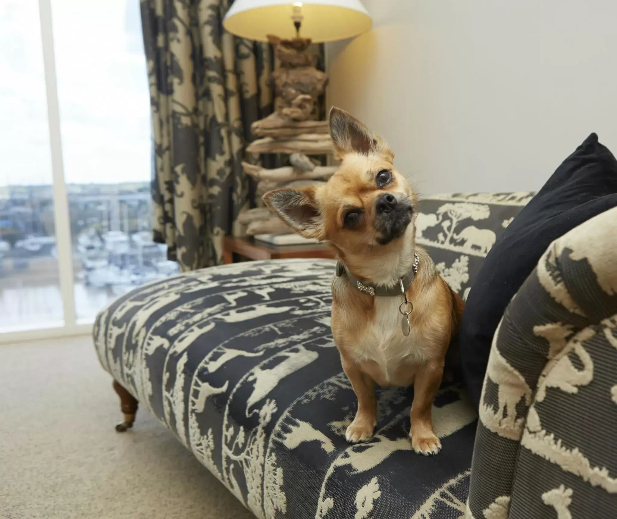 Living room, Pets in Salthouse Harbour Hotel