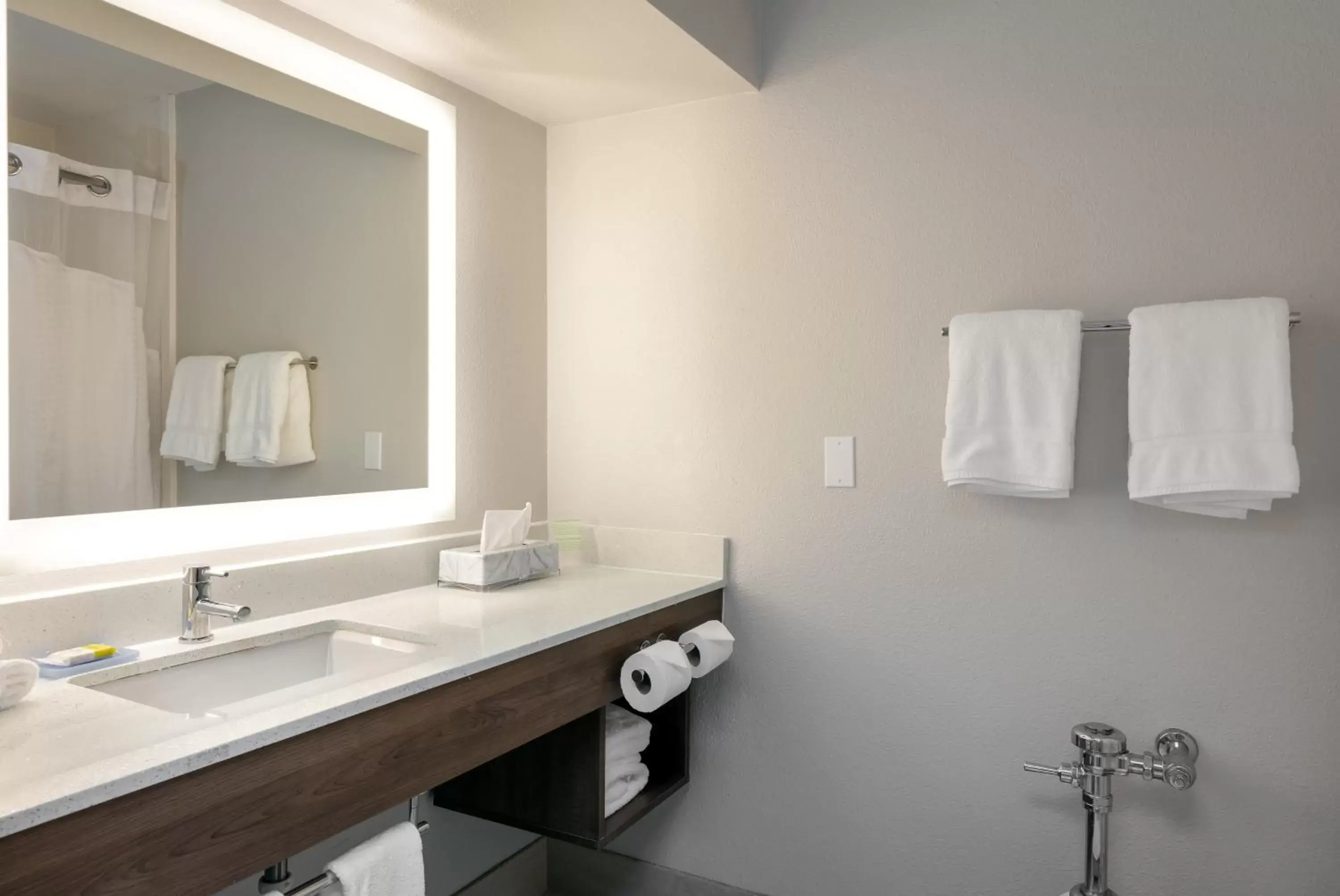 Bathroom in Holiday Inn Express & Suites Milton East I-10, an IHG Hotel
