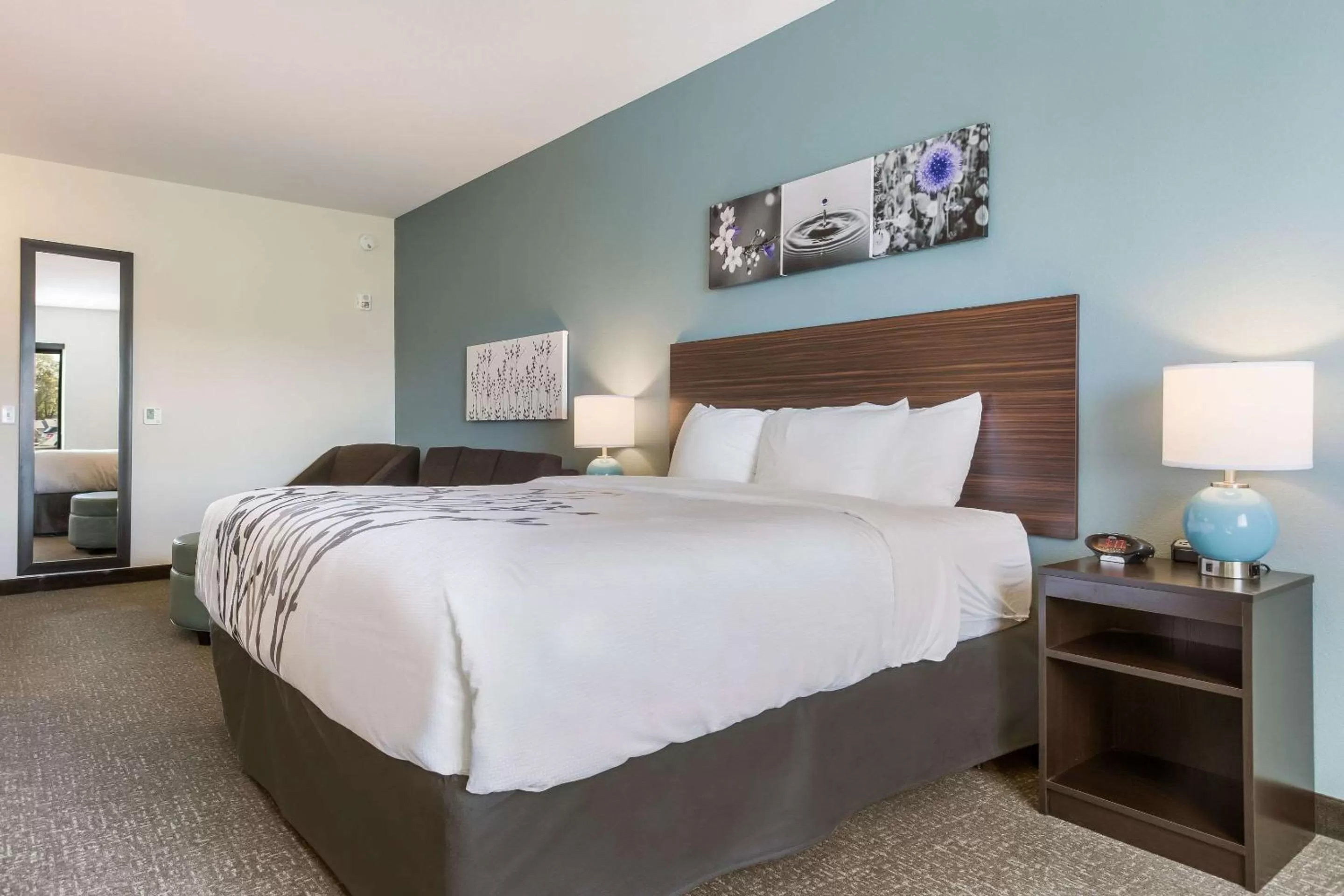 Photo of the whole room, Bed in Sleep Inn & Suites Webb City