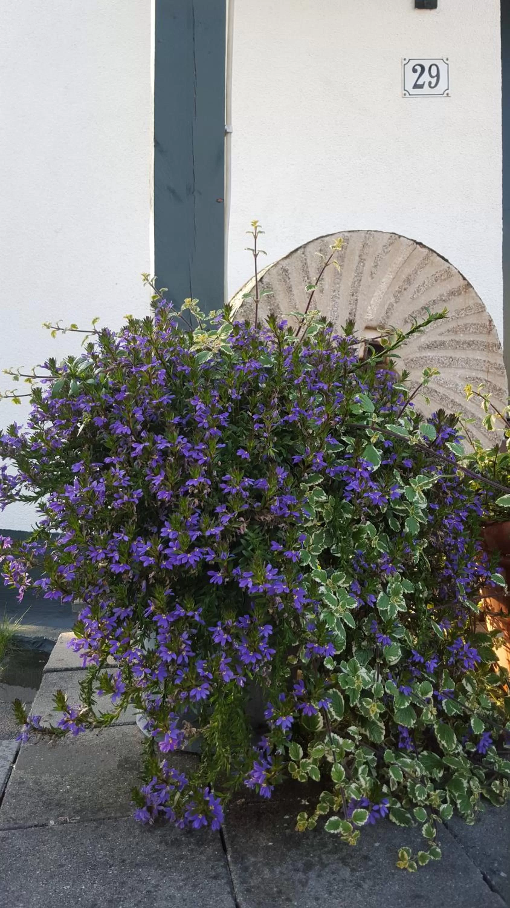 Garden in De Witte Molen Kranenburg