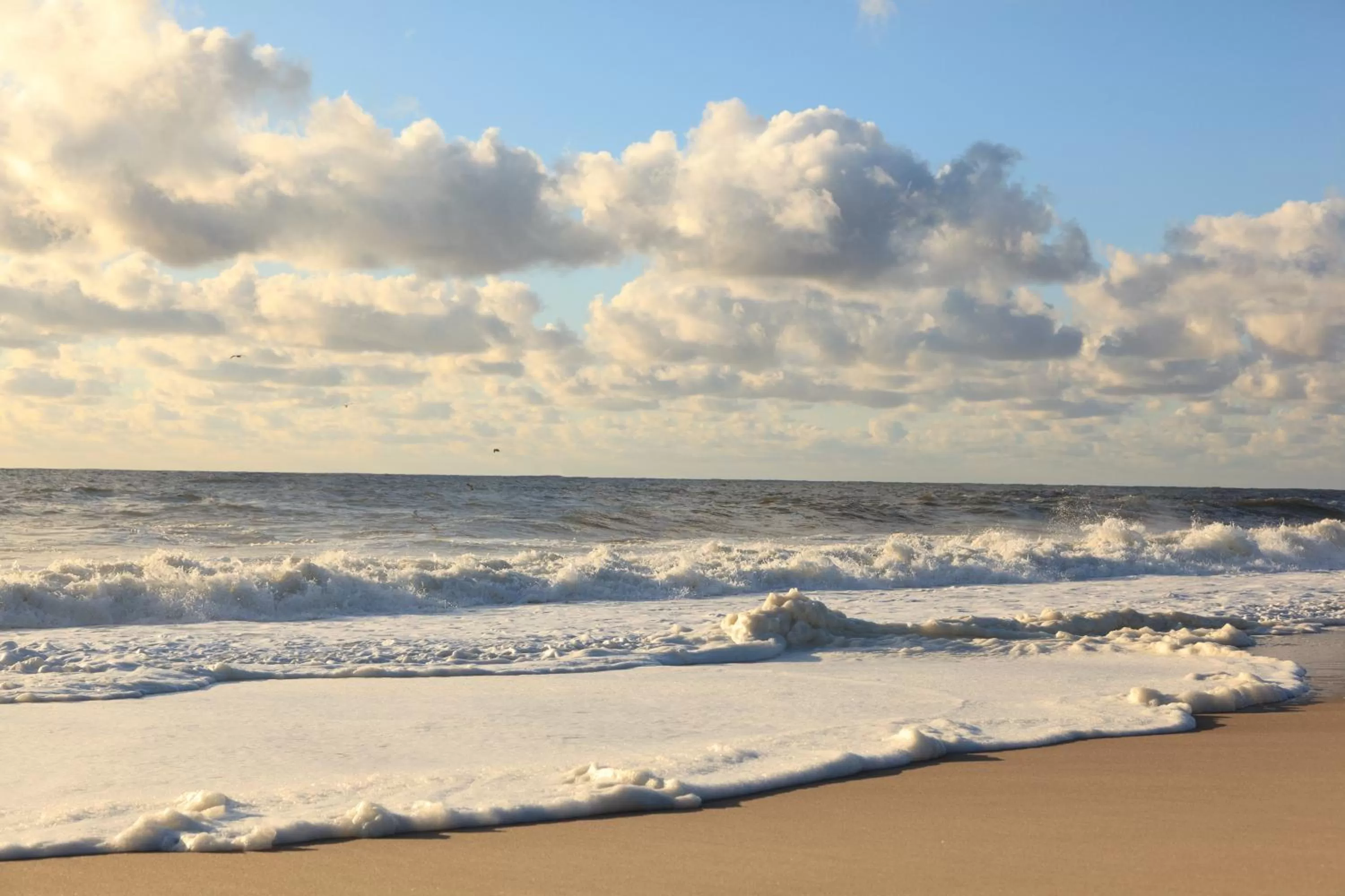 Activities in The Tower Cottage Bed and Breakfast