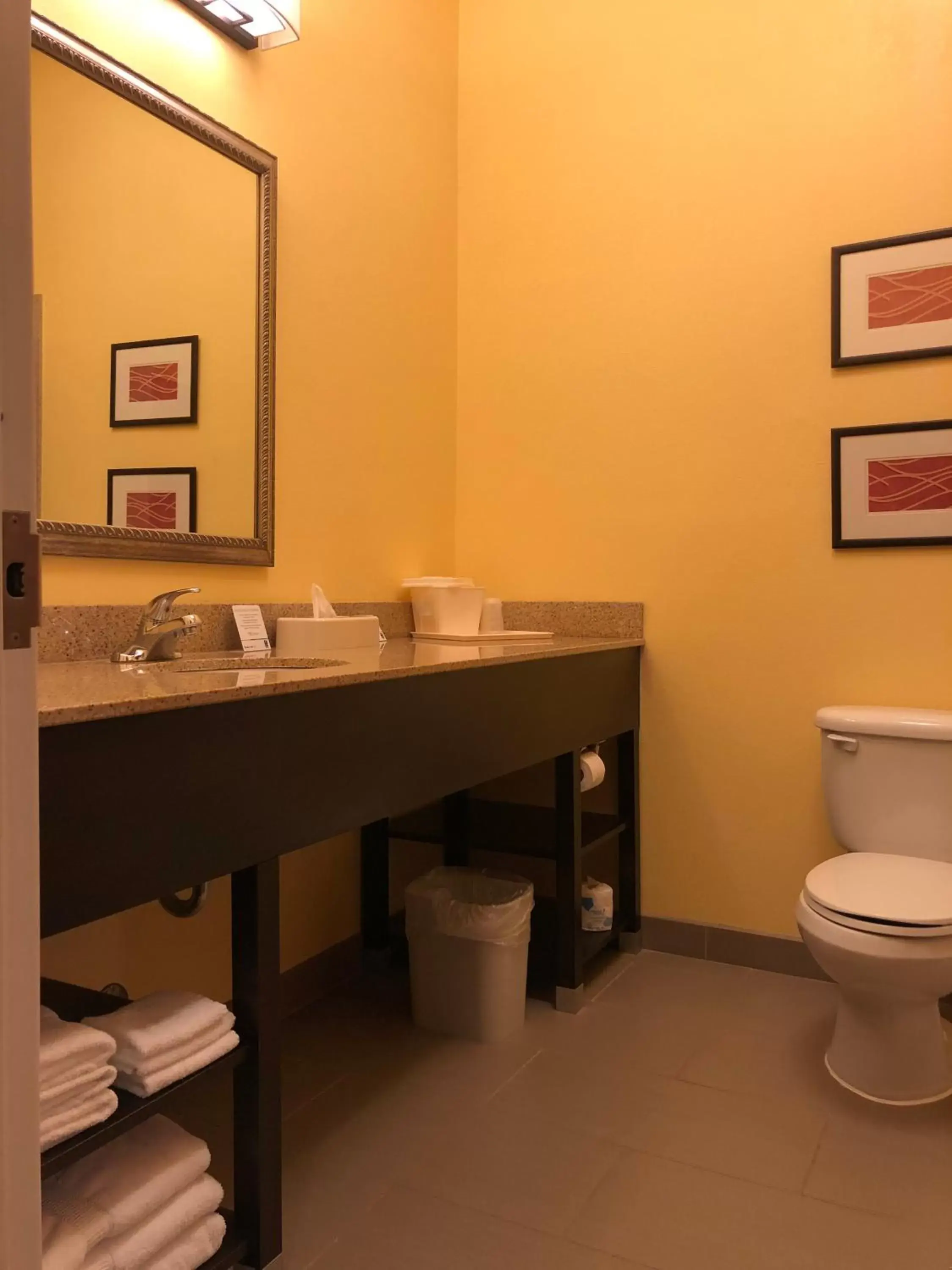 Bathroom in Comfort Inn & Suites Rogersville