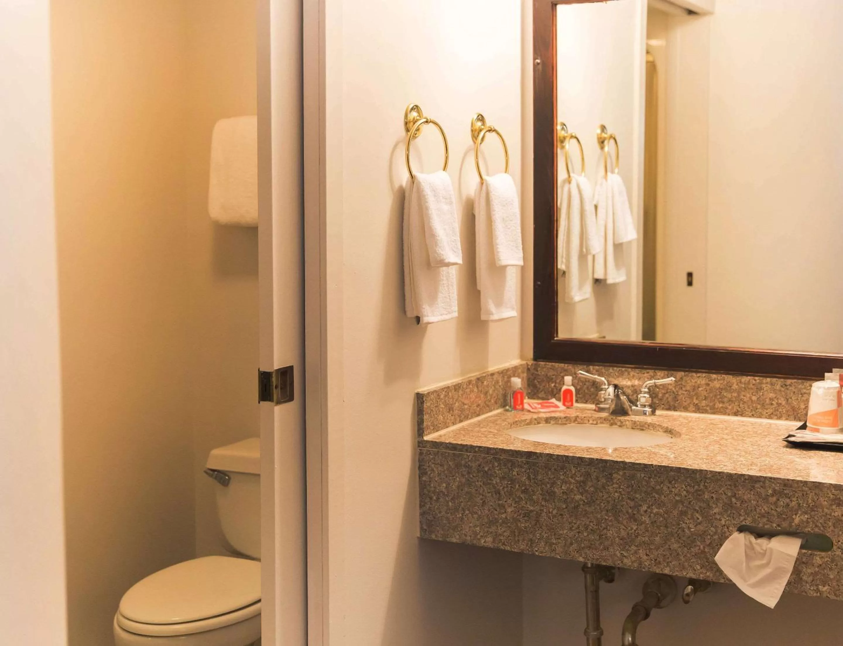 Bathroom in Econo Lodge Harrisburg - Hershey North