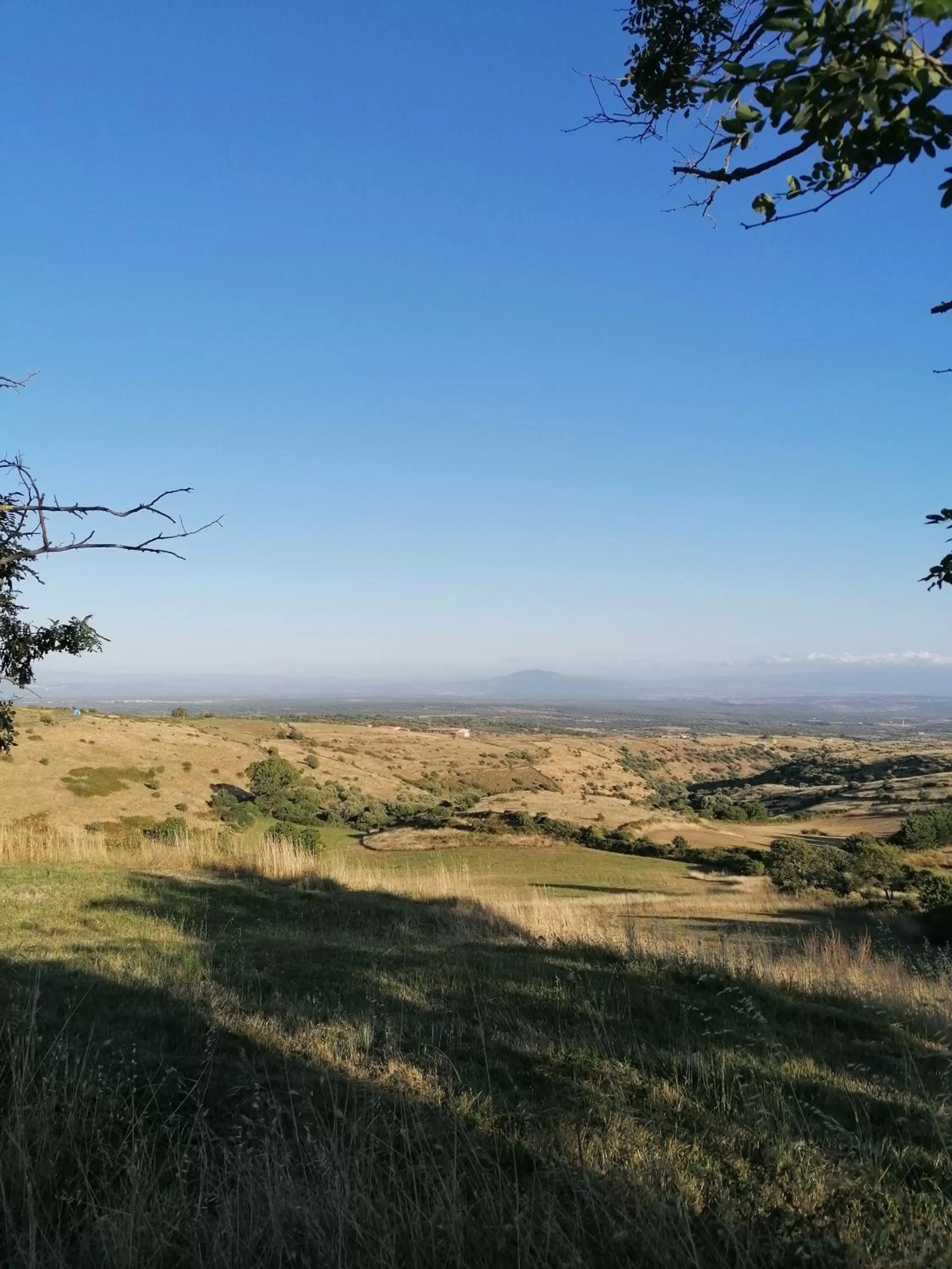 Deiana affittacamere e pizzeria