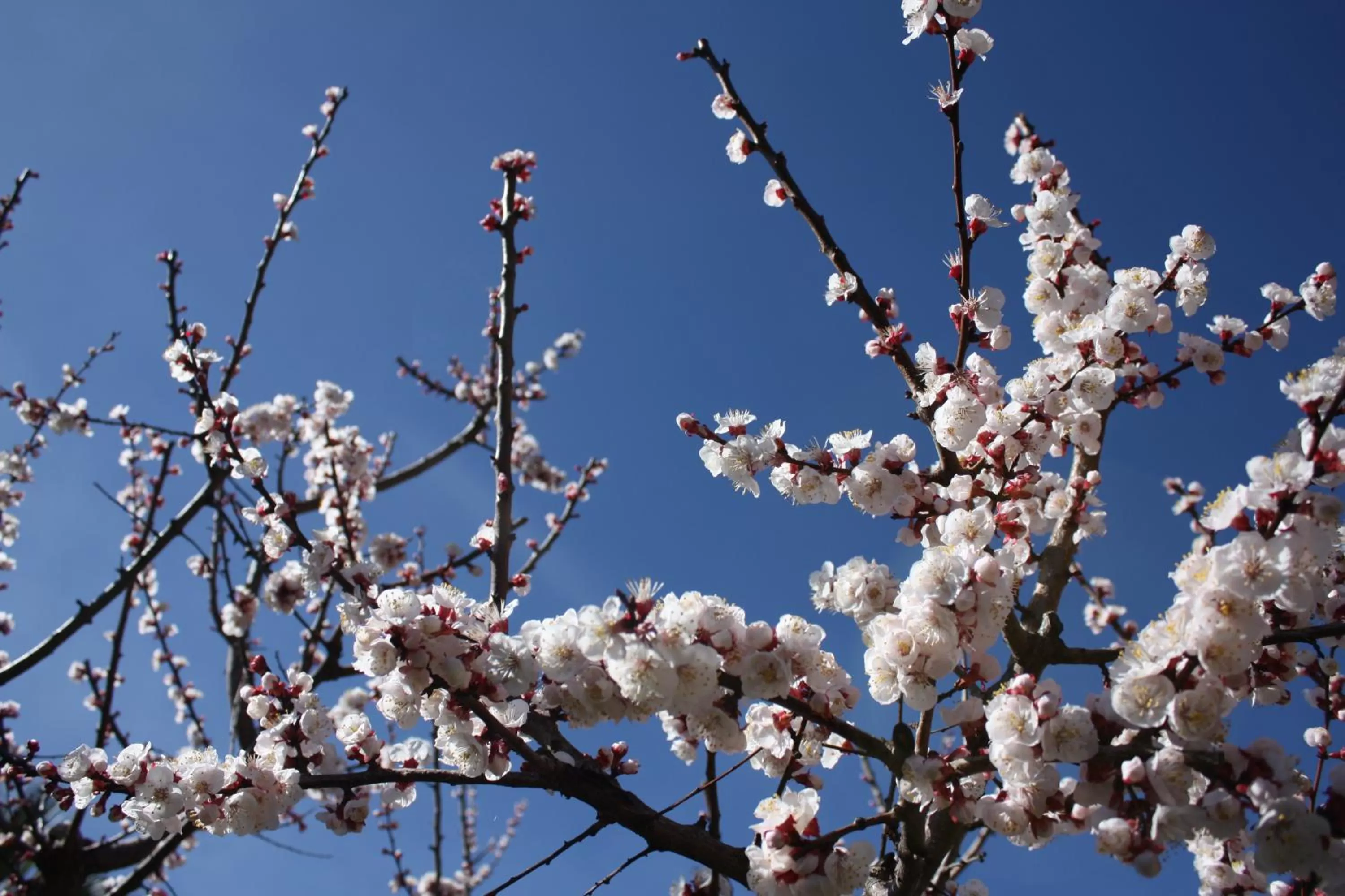 Garden, Winter in B&B Casa Di Mari