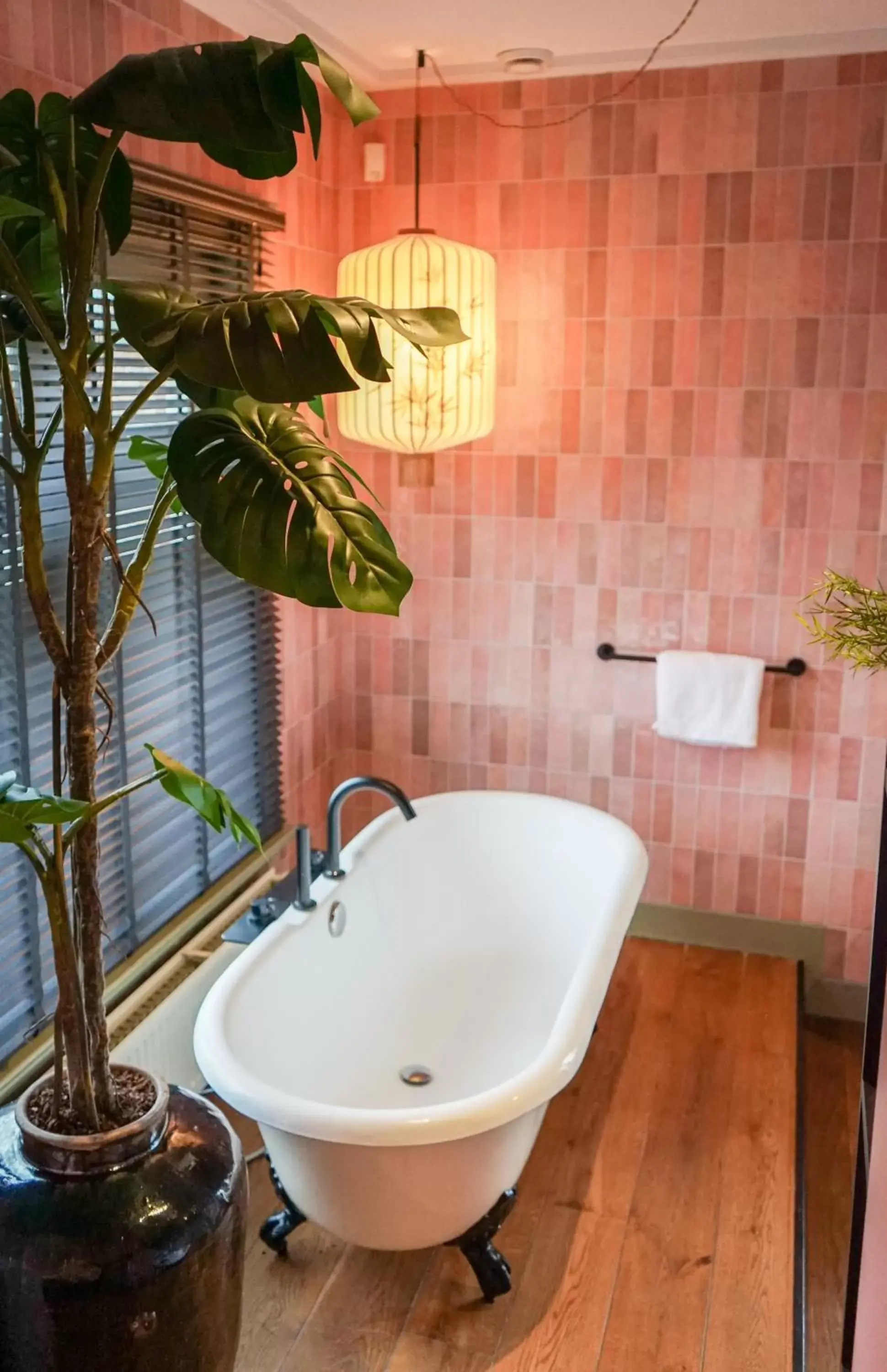 Bath, Bathroom in Villa la Vida