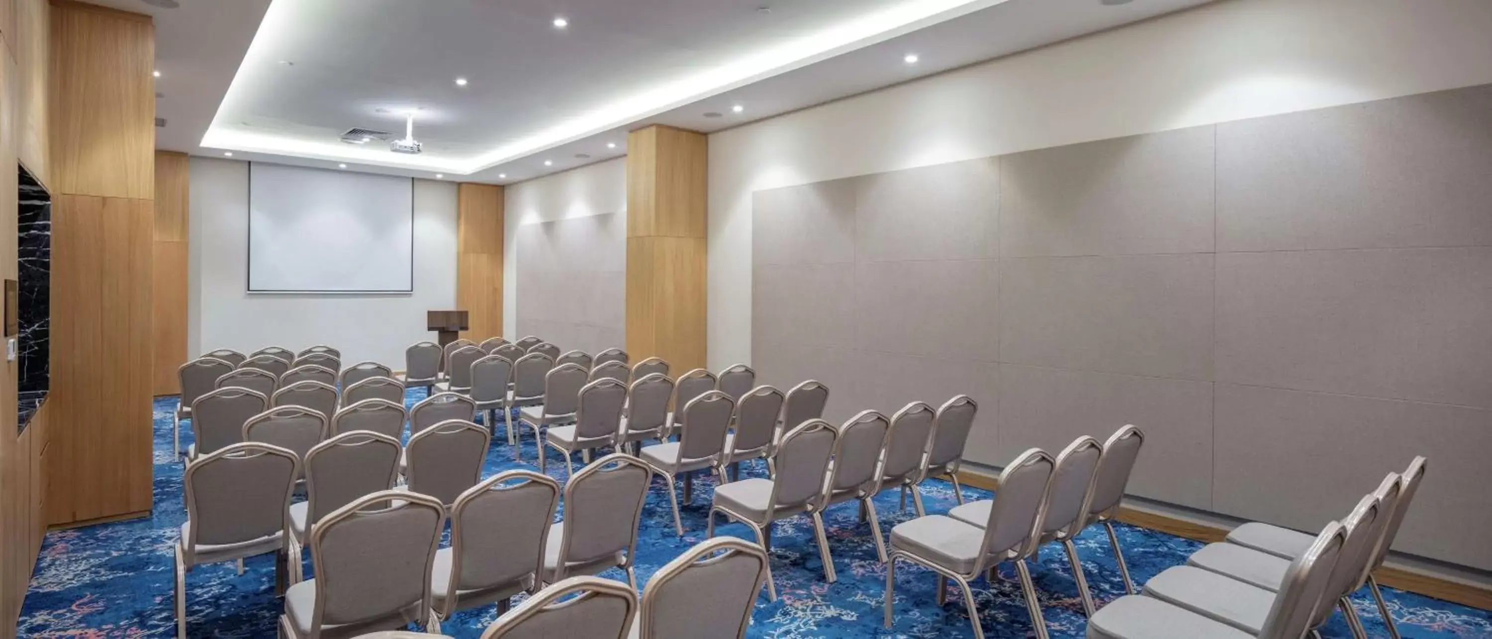 Meeting/conference room in Hilton Garden Inn Erzurum