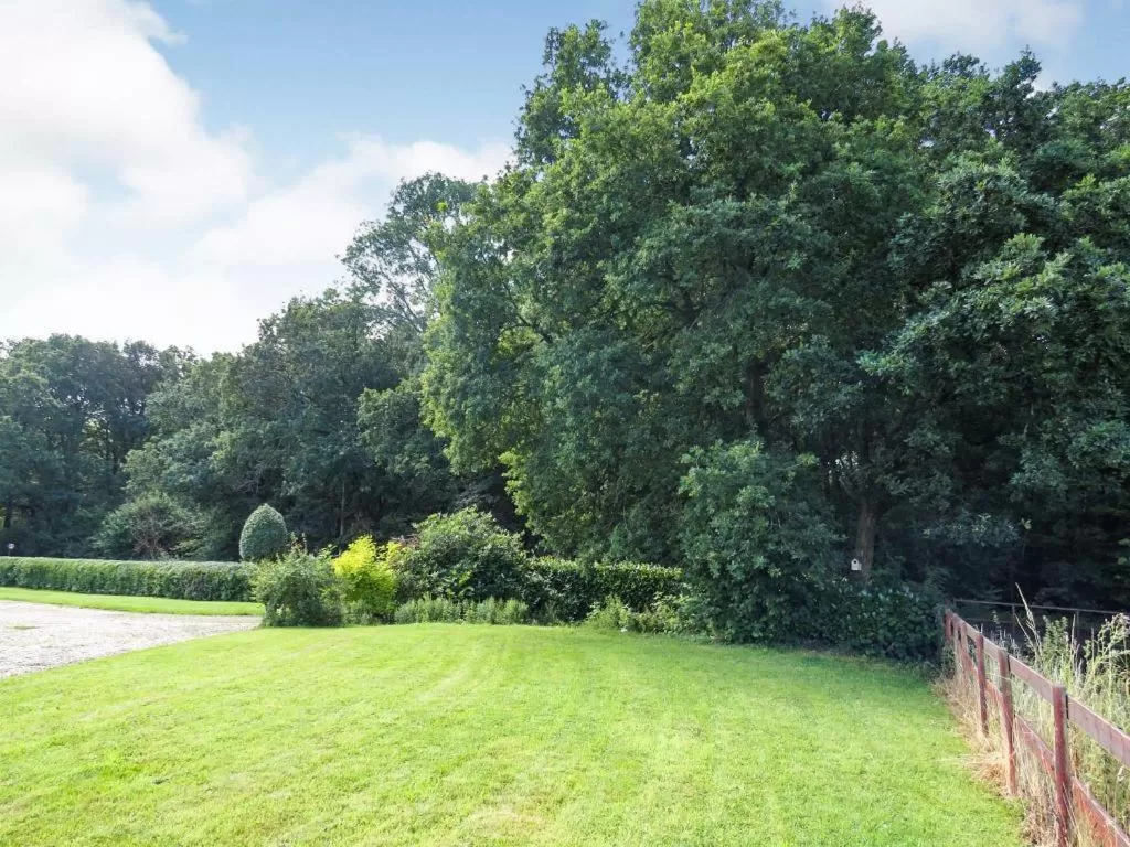 Garden in Woodland House B & B