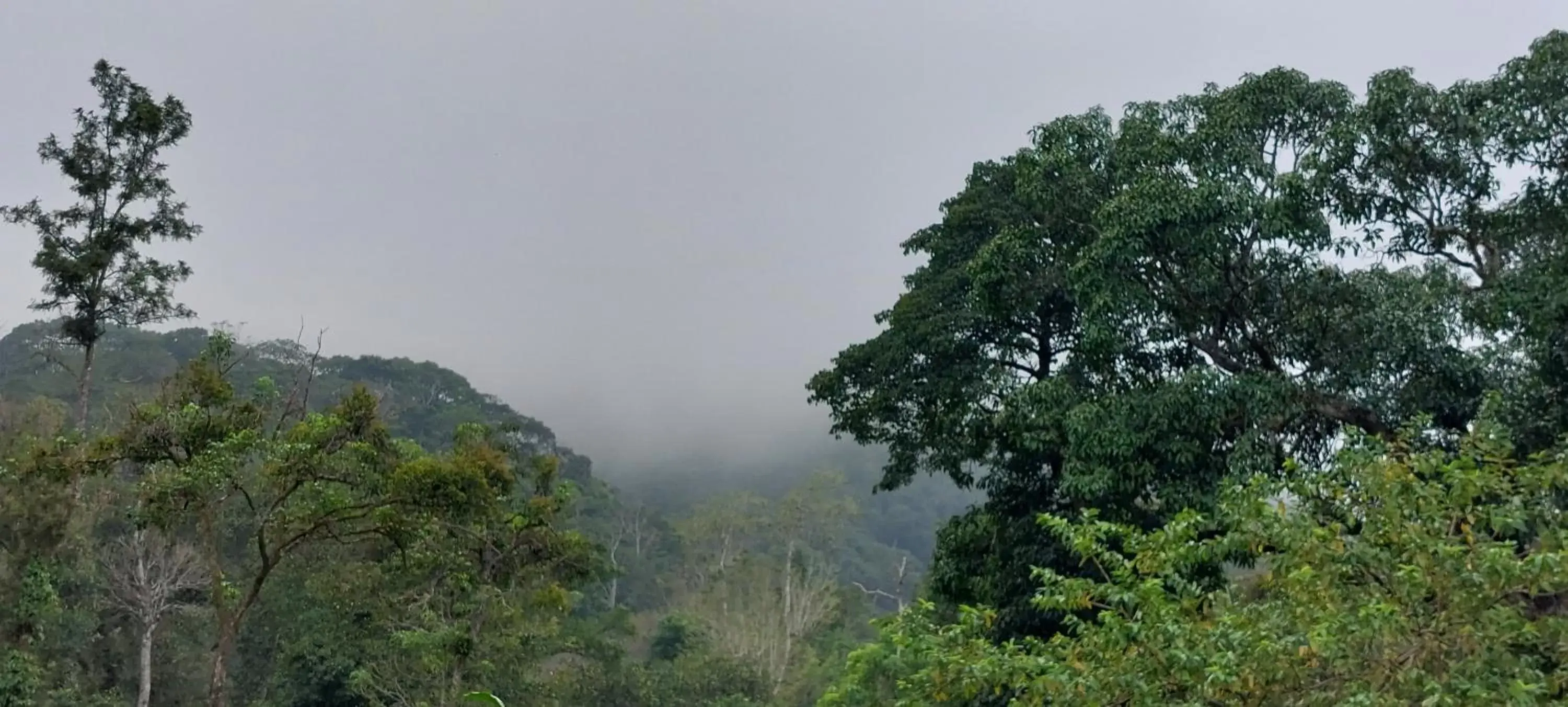 Mountain view in Magnolia Estates & Resorts Mountain view in Magnolia Estates & Resorts