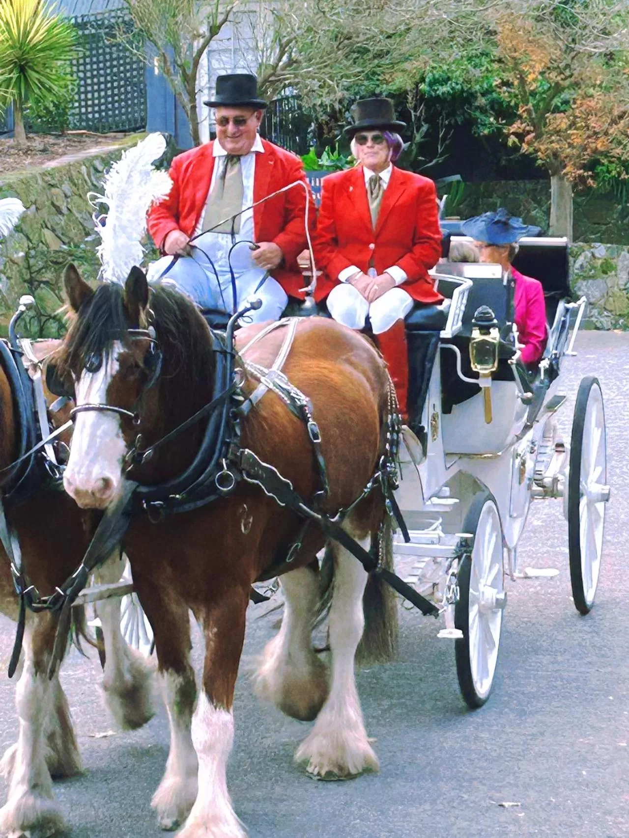 Entertainment in Eltham Gateway Hotel & Conference Centre