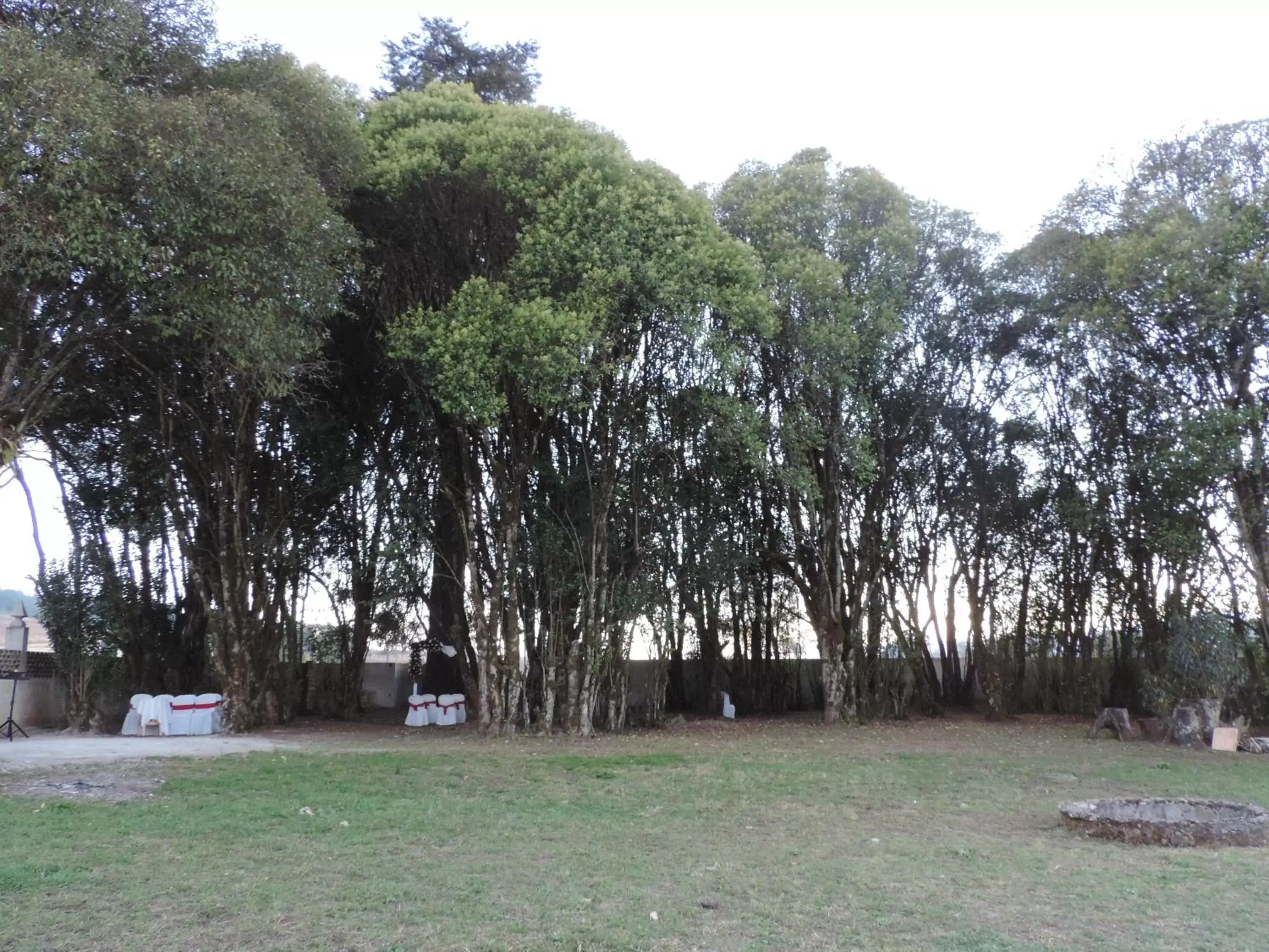 Off site, Garden in Antigua Hacienda Metepec