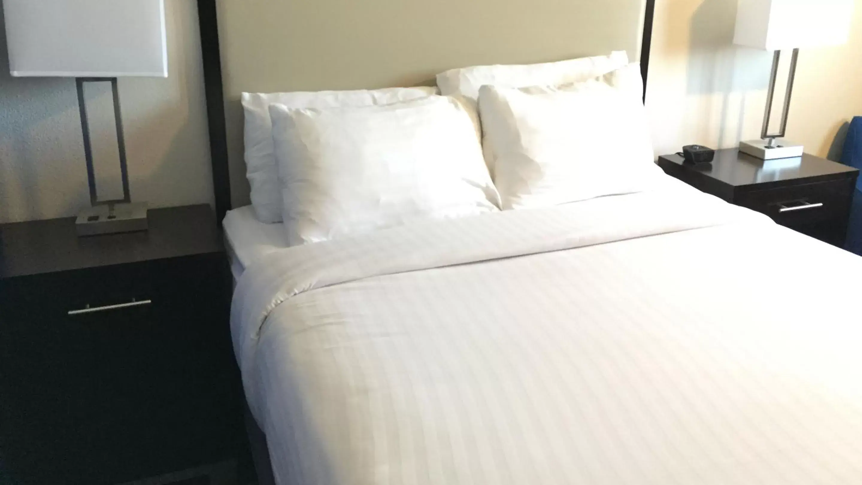 Bed in Comfort Inn & Suites Tigard near Washington Square