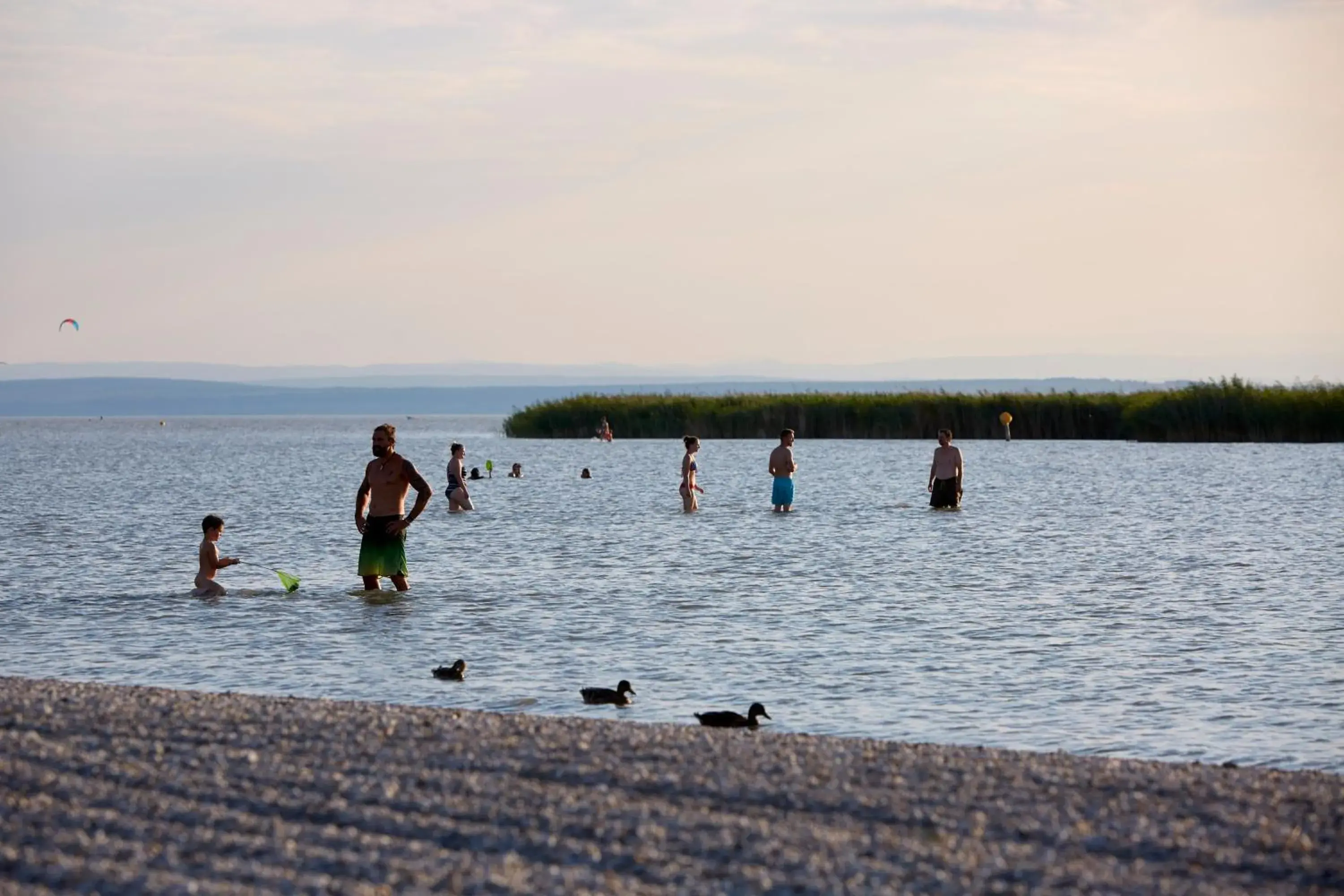 Natural landscape, Beach in Seewirt & Haus Attila