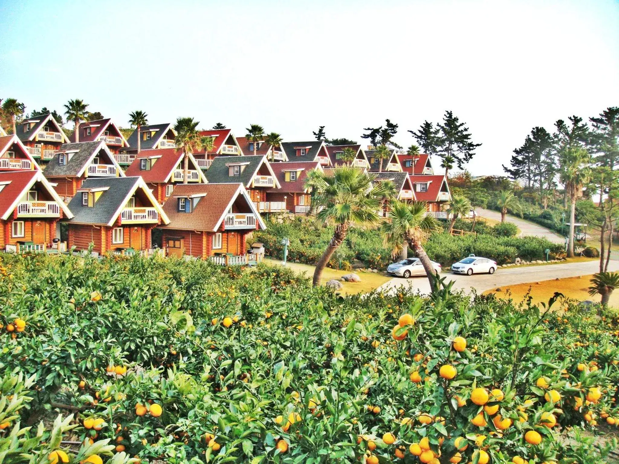 Facade/entrance in Jungmun Log Pension & Resort Facade/entrance in Jungmun Log Pension & Resort
