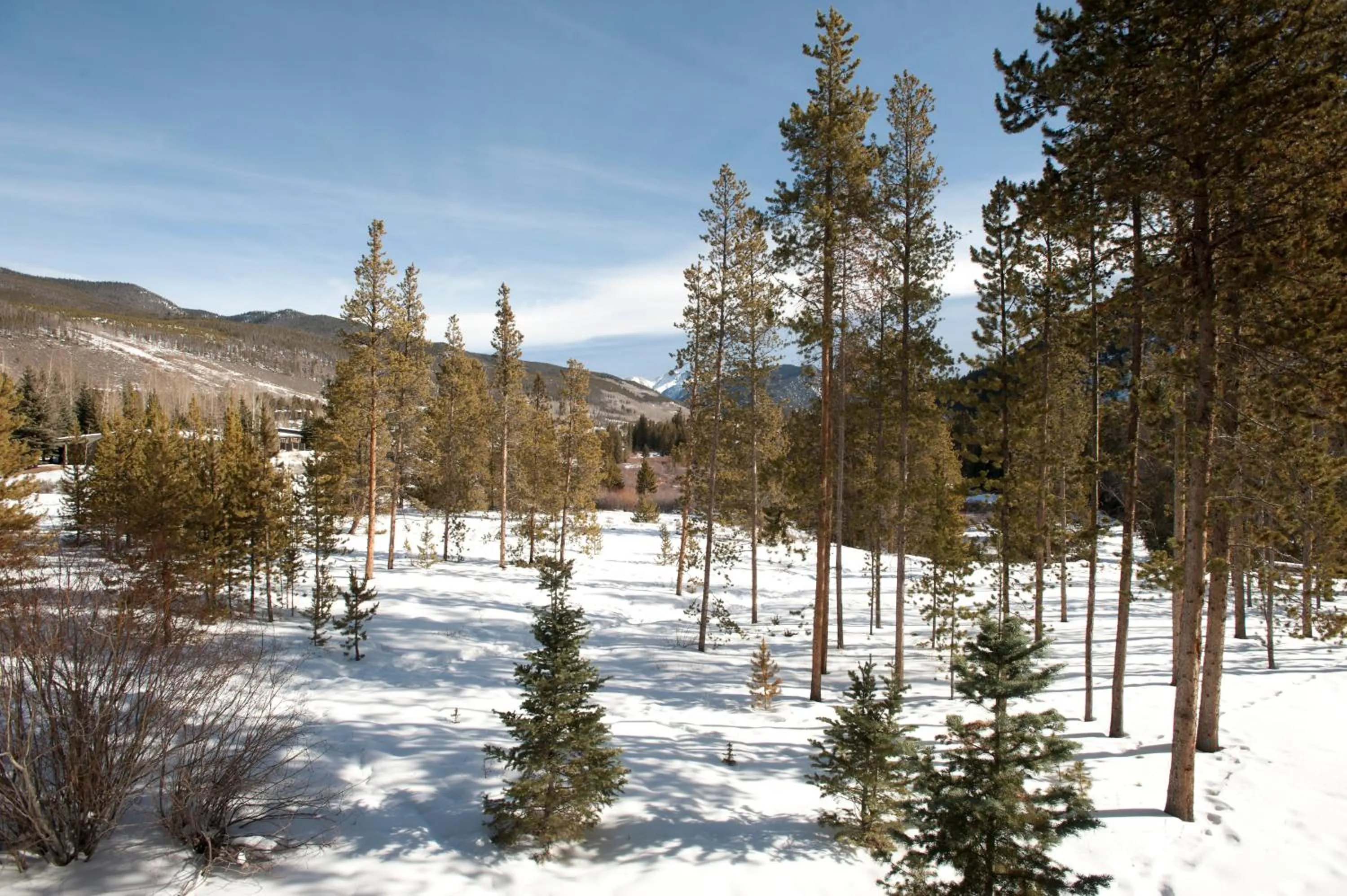 Winter in Evergreen Condominiums by Keystone Resort