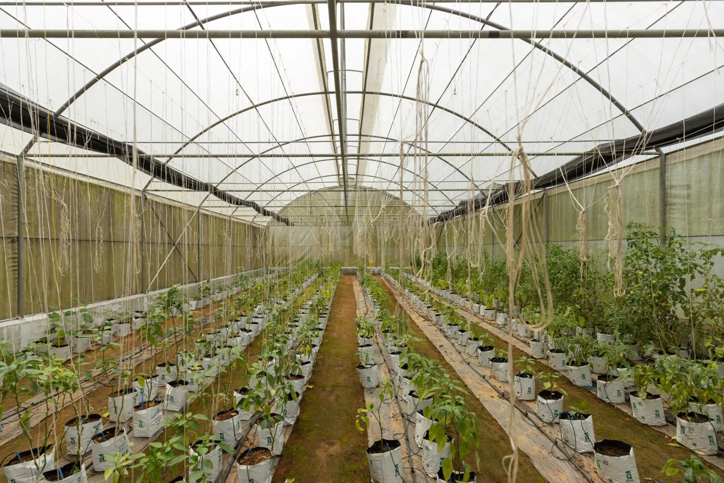 Day in Mountbatten Bungalow- Thema Collection