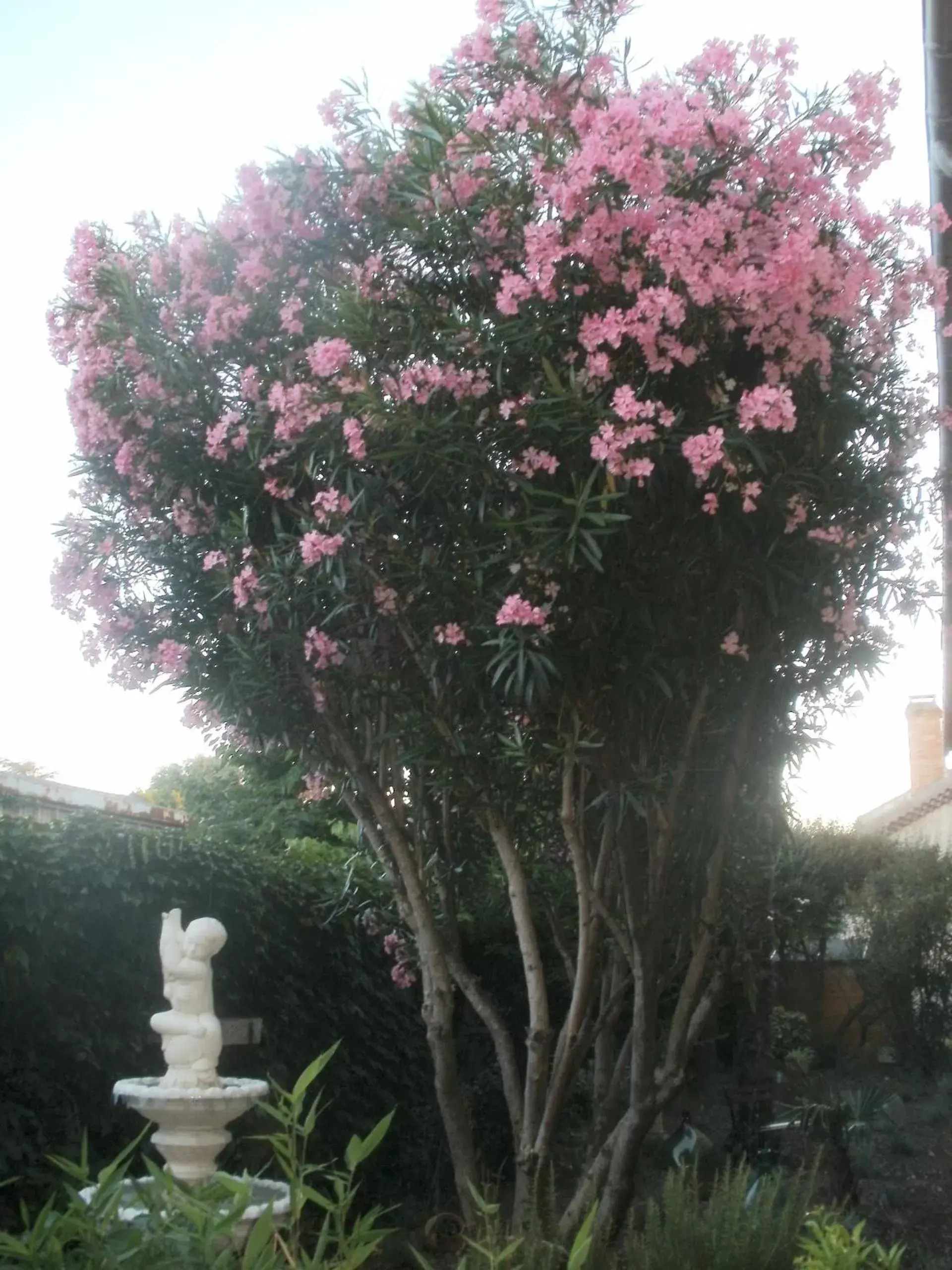 Spring in Hôtel du Tricastin