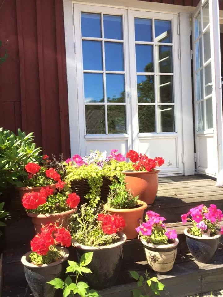 Property building in skummeslöv B & B