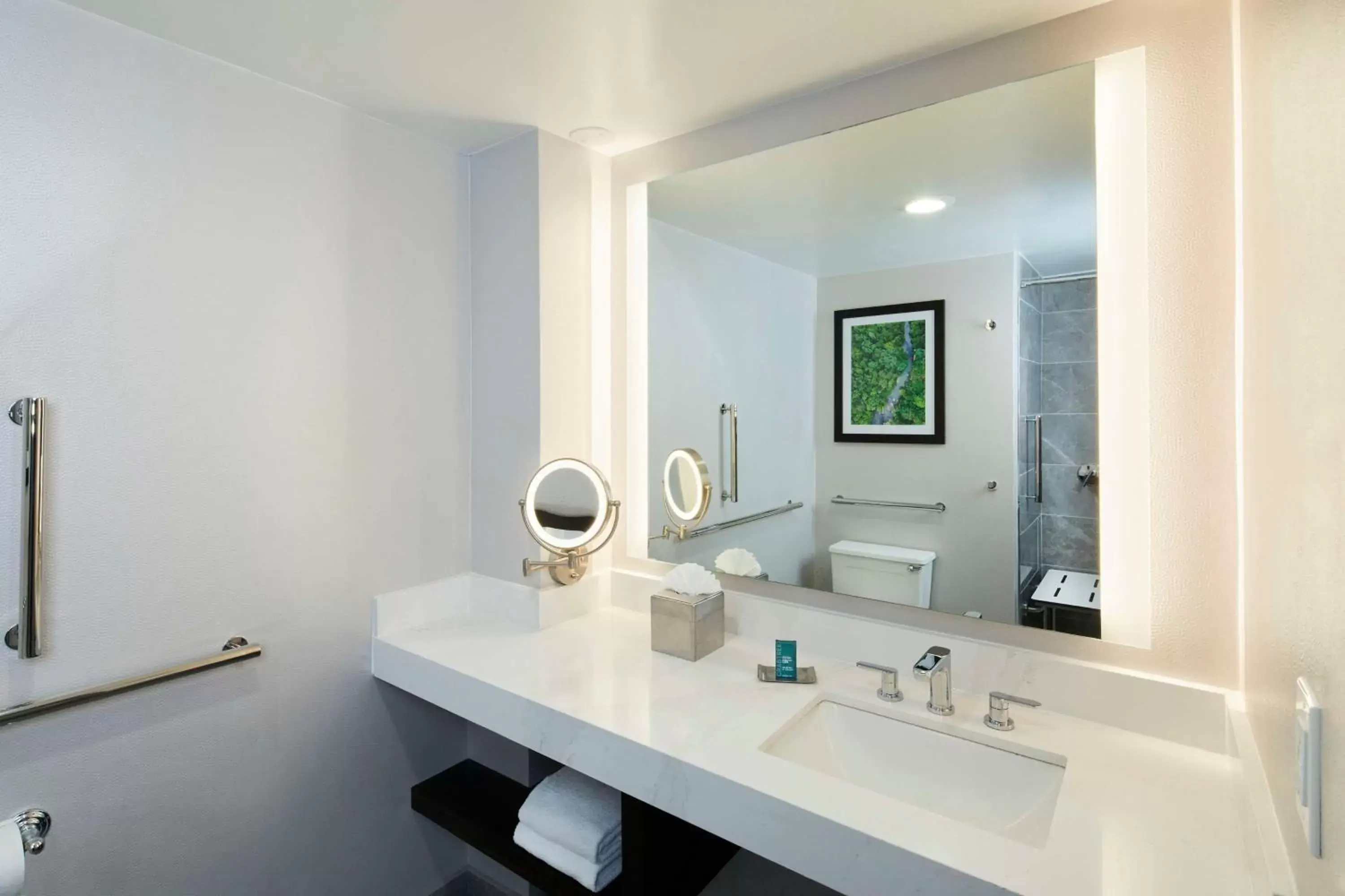 Bathroom in DoubleTree by Hilton Atlanta/Roswell - Alpharetta Area