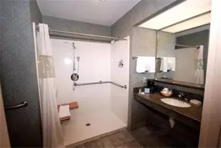 Bathroom in Hampton Inn Laplace