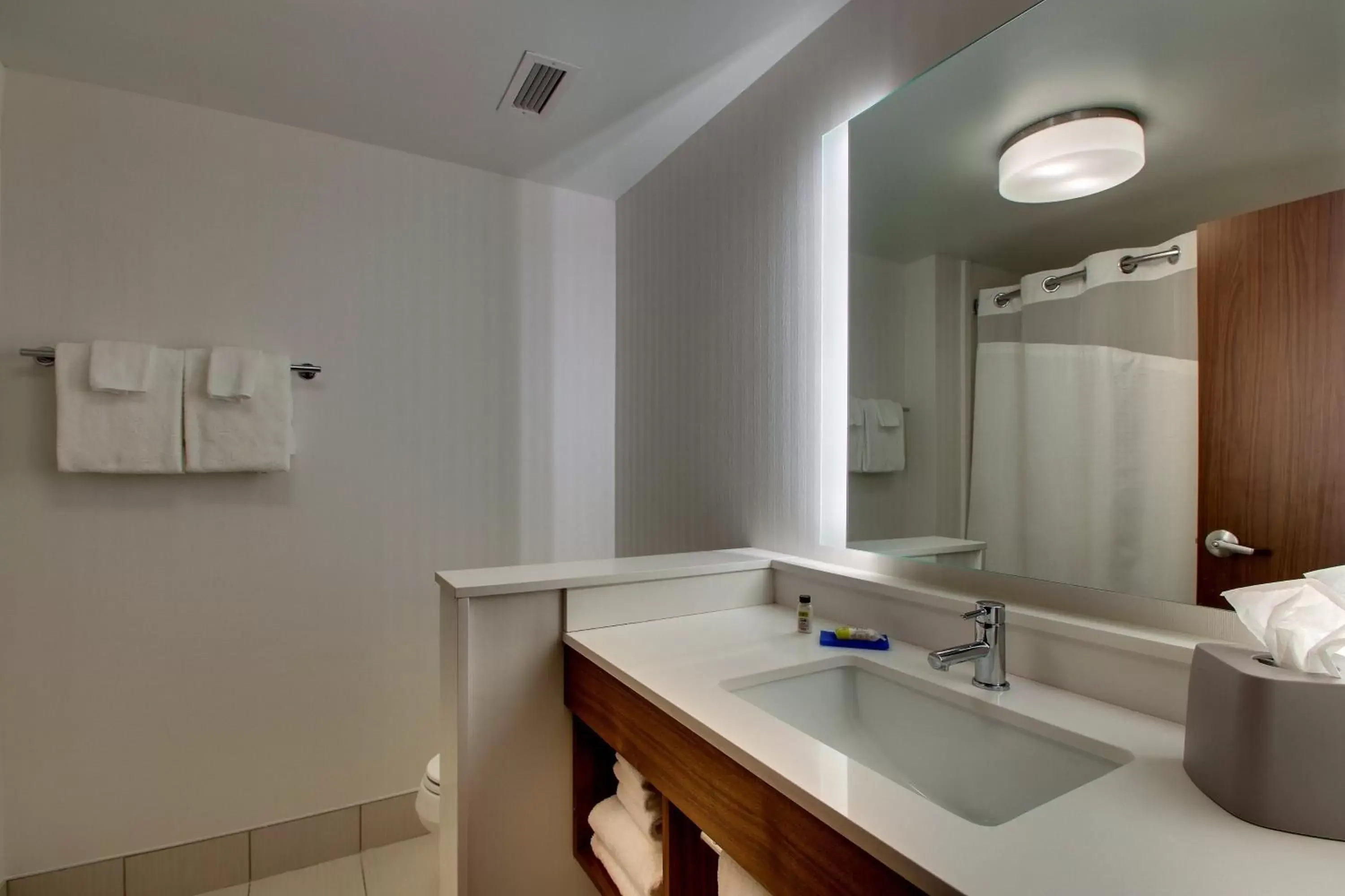 Bathroom in Holiday Inn Express & Suites Findlay North, an IHG Hotel