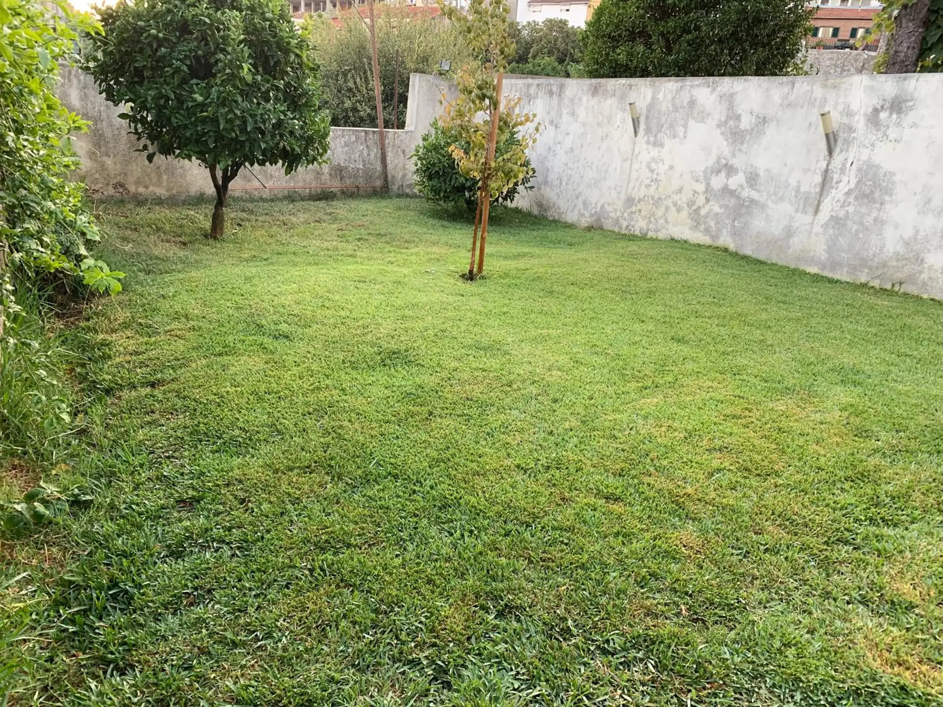 Property building, Garden in Campanhã Boutique Station