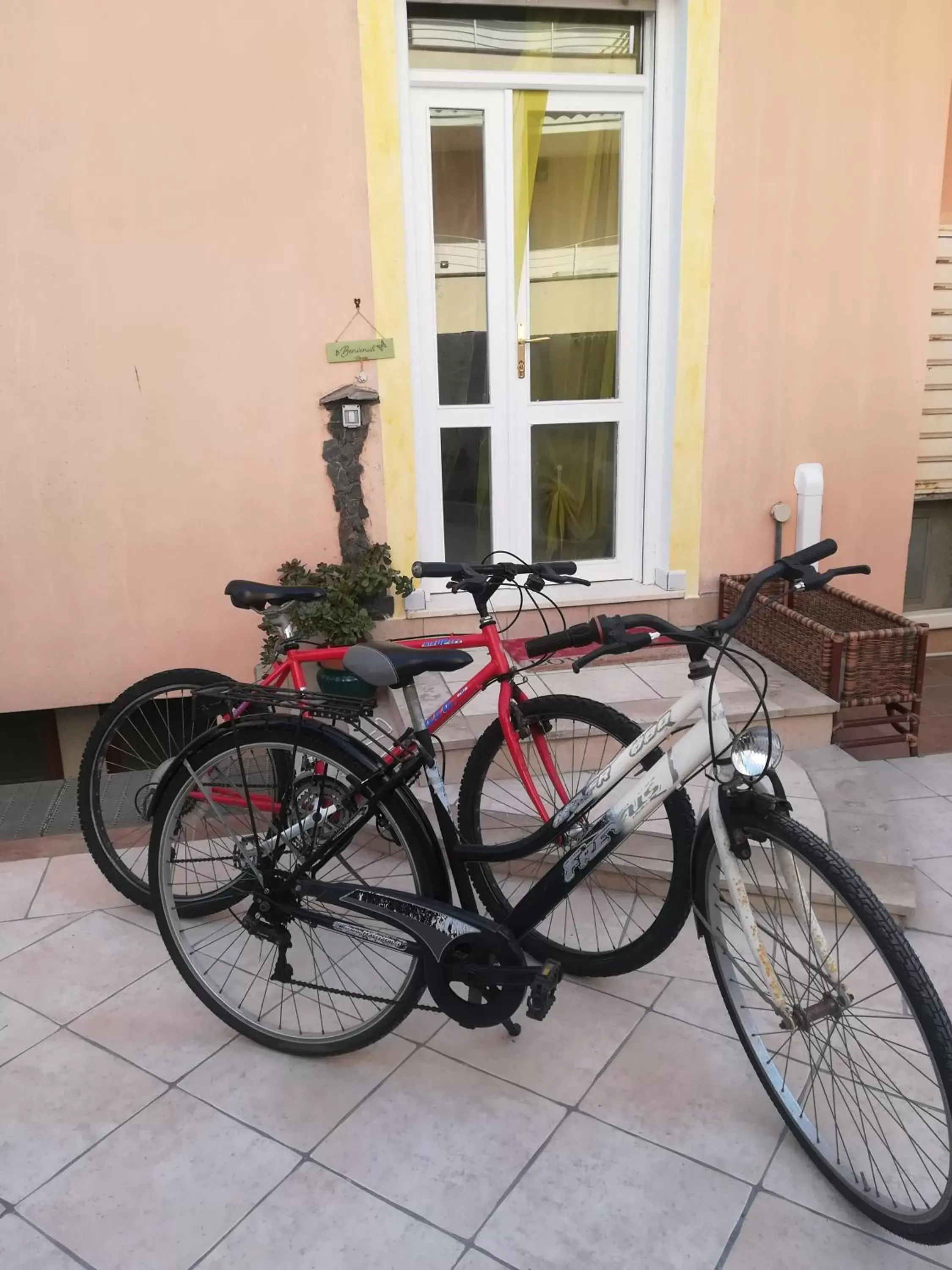 Cycling in B&B Lety